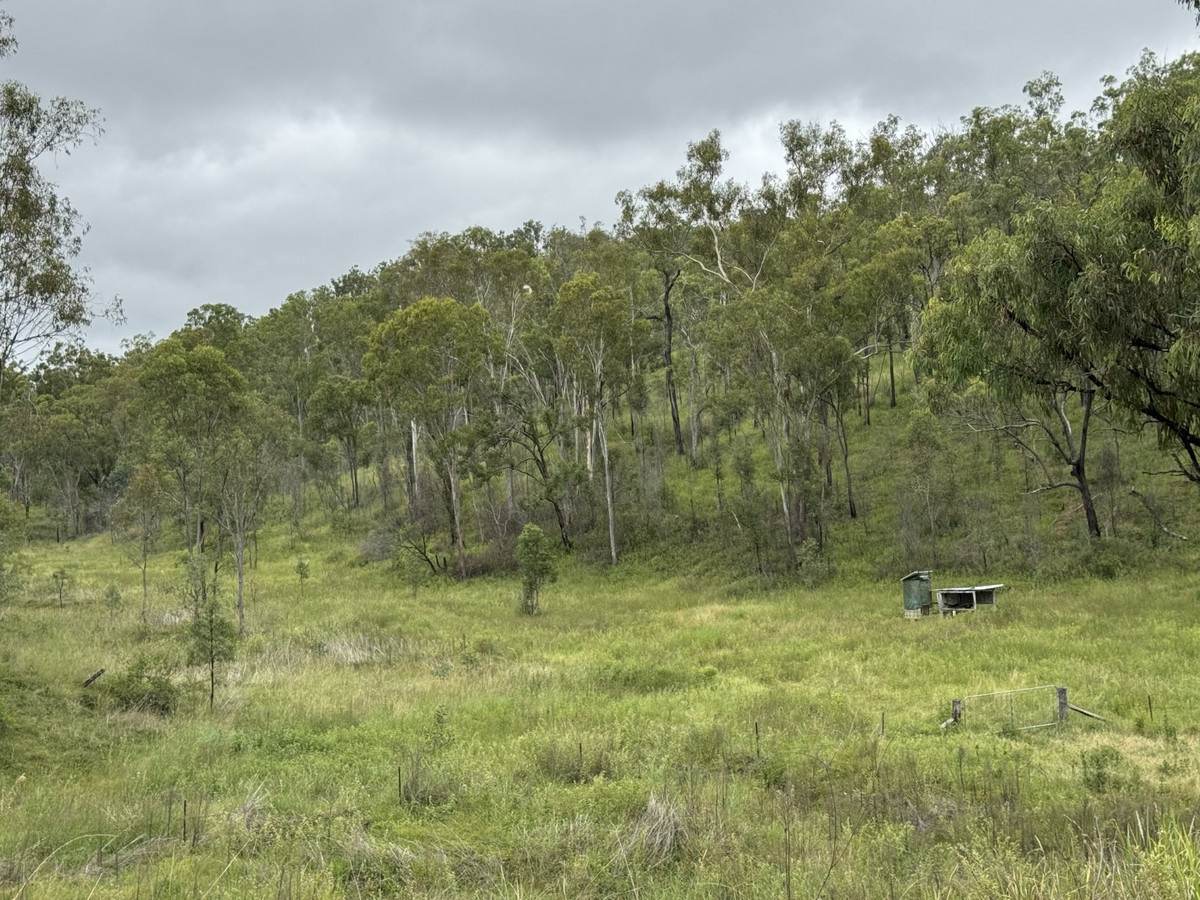 1609 Monal Road, Monto For Sale by Farmbuy.com - image 30