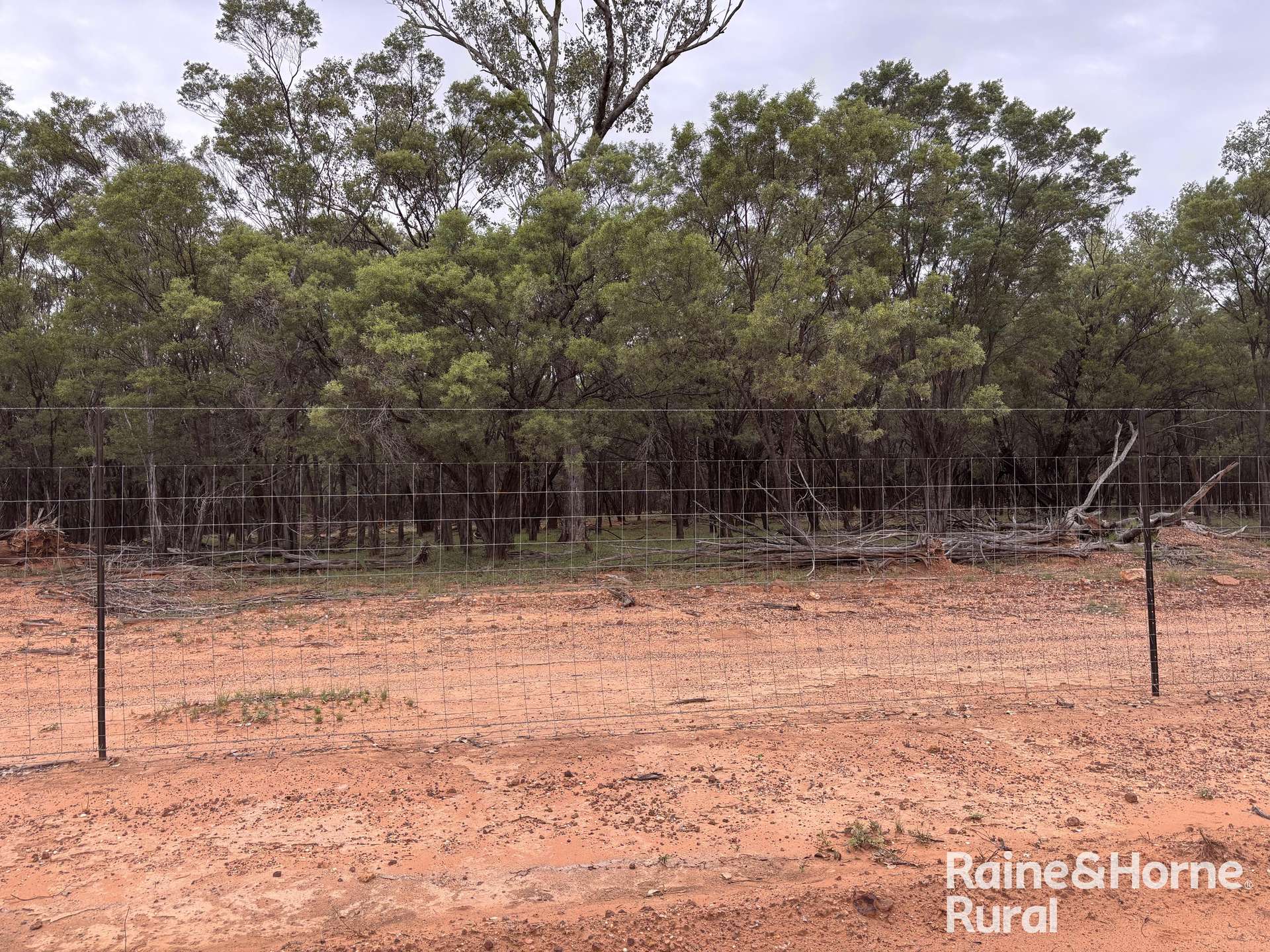 1148 Nalpa Downs Road, Mitchell Sold by Farmbuy.com - image 14