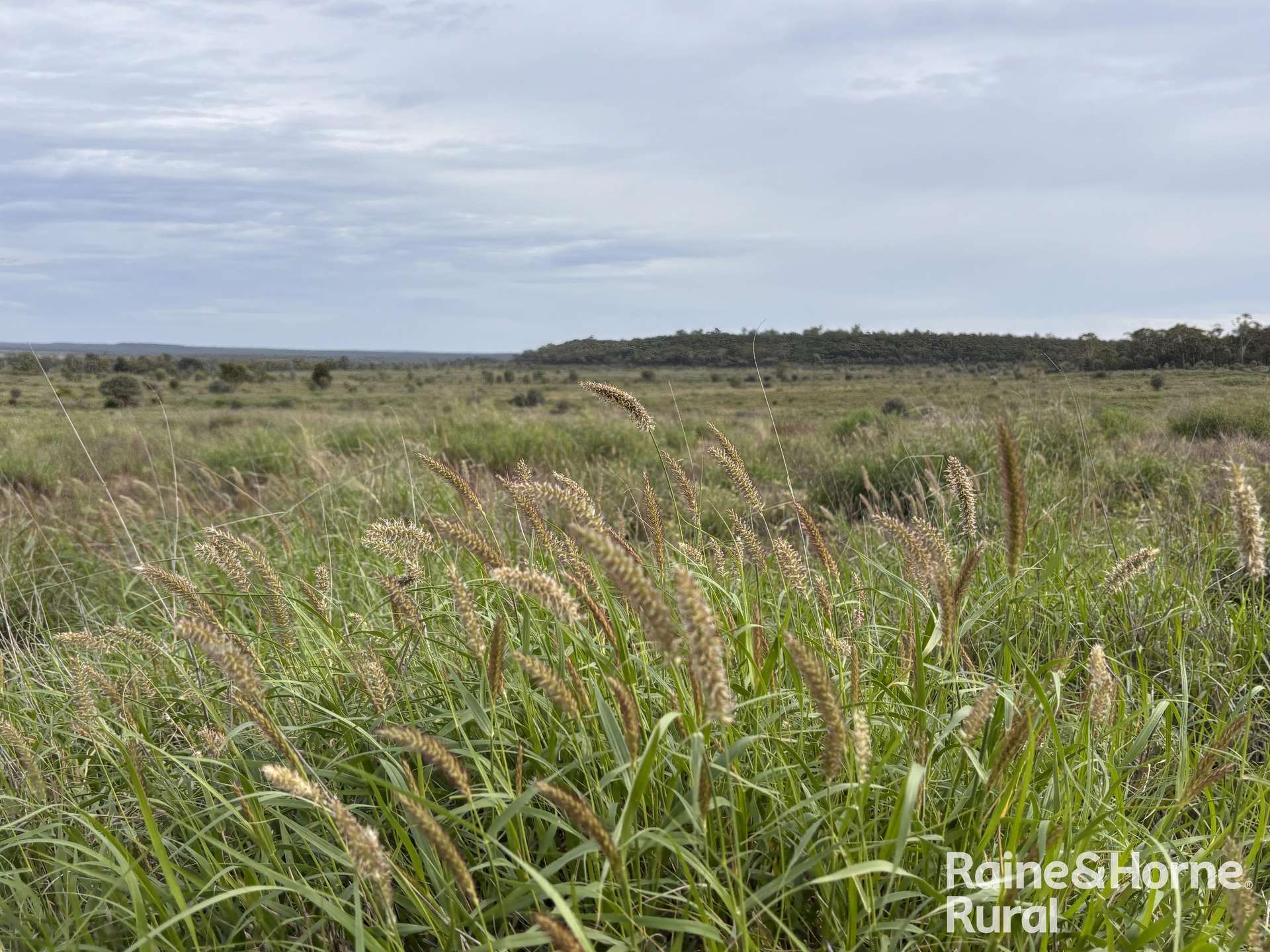 1148 Nalpa Downs Road, Mitchell Sold by Farmbuy.com - image 5