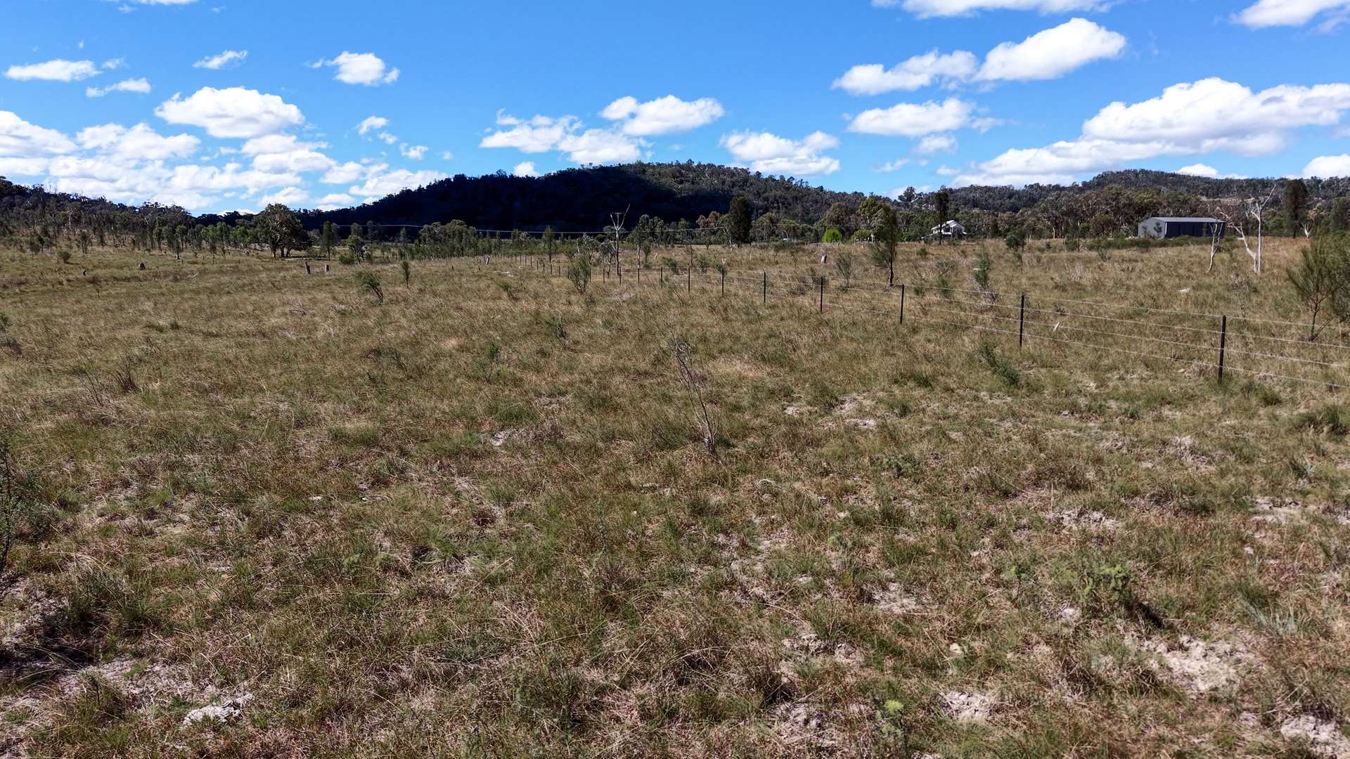 62 Tarban Road, Tenterfield For Sale by Farmbuy.com - image 4