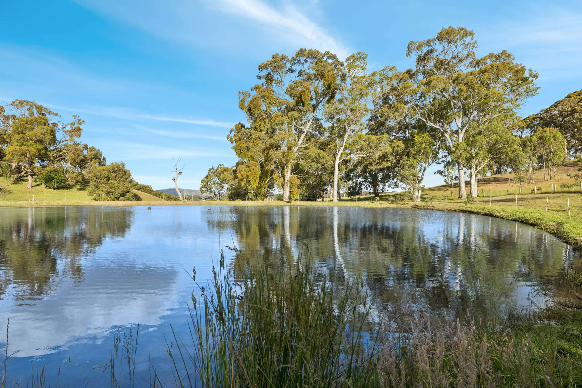 335 Hawthorn Road, Mount Barker Sold by Farmbuy.com - image 6