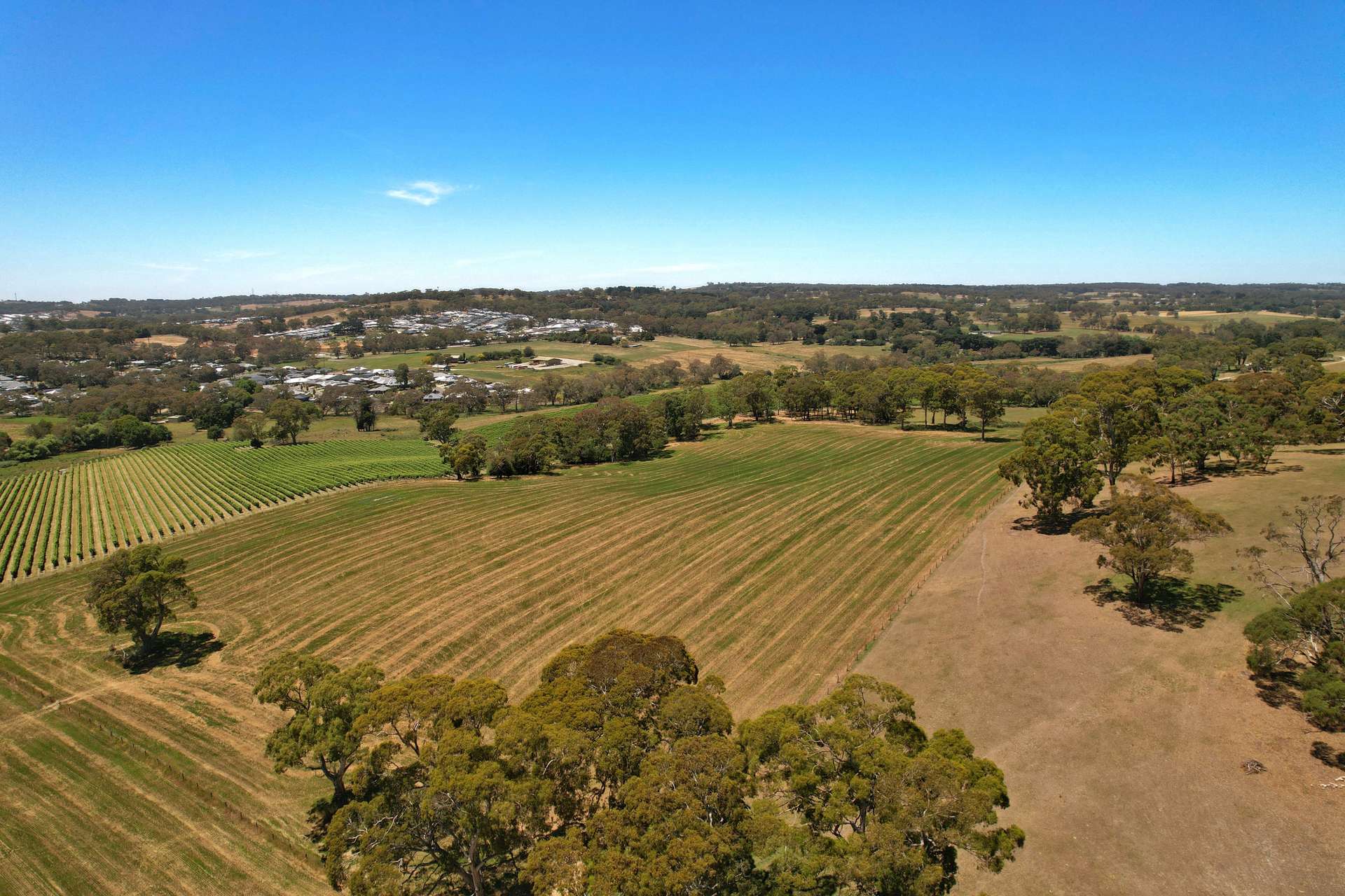 335 Hawthorn Road, Mount Barker Sold by Farmbuy.com - image 8