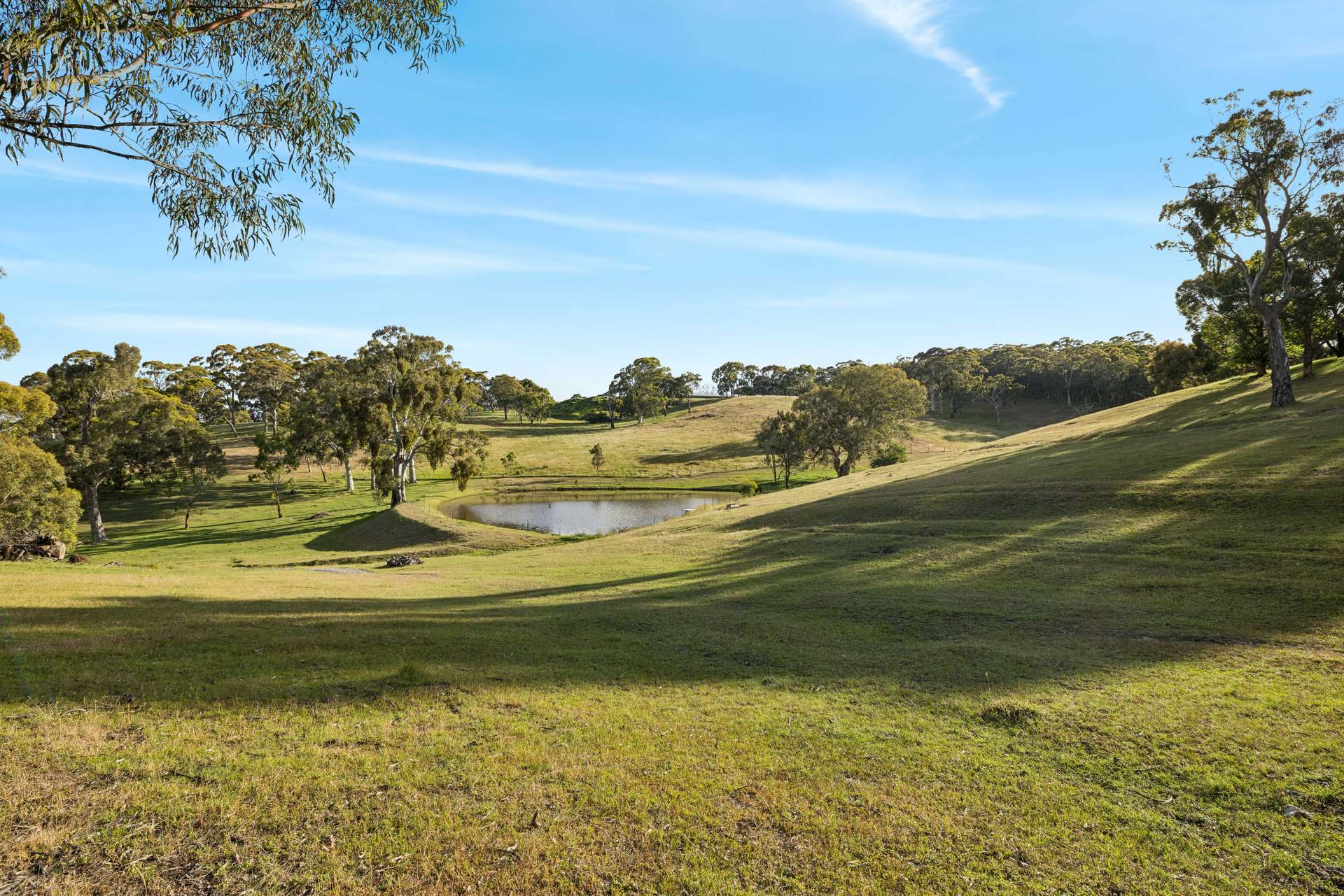 335 Hawthorn Road, Mount Barker Sold by Farmbuy.com - image 7