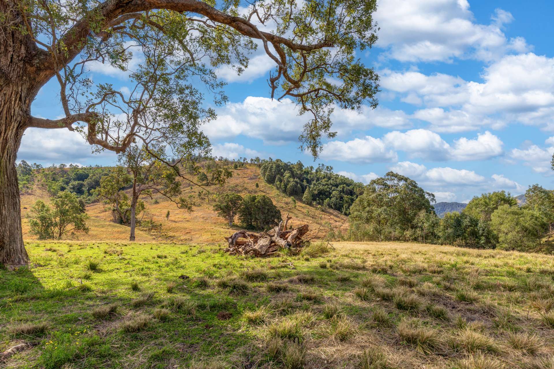 Lot Lots, 34 & 158 Salisbury Road, Dungog Sold by Farmbuy.com - image 2