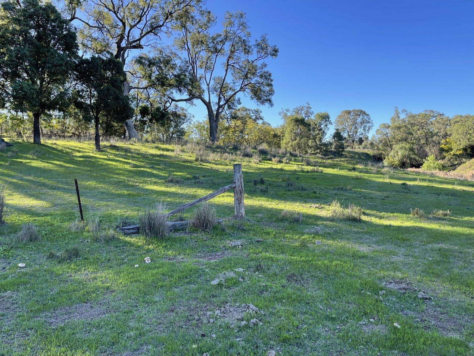 1235 Giants Creek Road, Sandy Hollow For Sale by Farmbuy.com - image 3