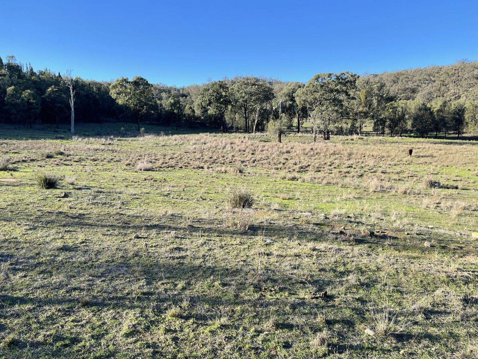 1235 Giants Creek Road, Sandy Hollow For Sale by Farmbuy.com - image 18