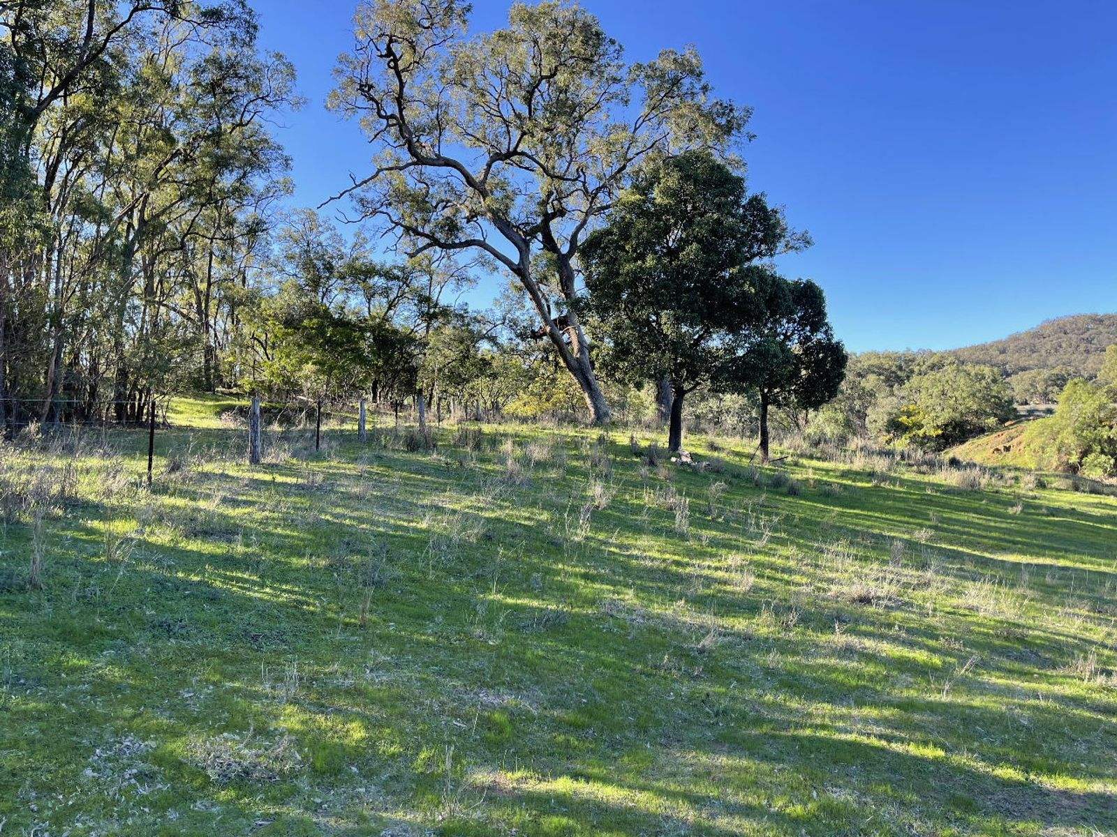 1235 Giants Creek Road, Sandy Hollow For Sale by Farmbuy.com - image 2