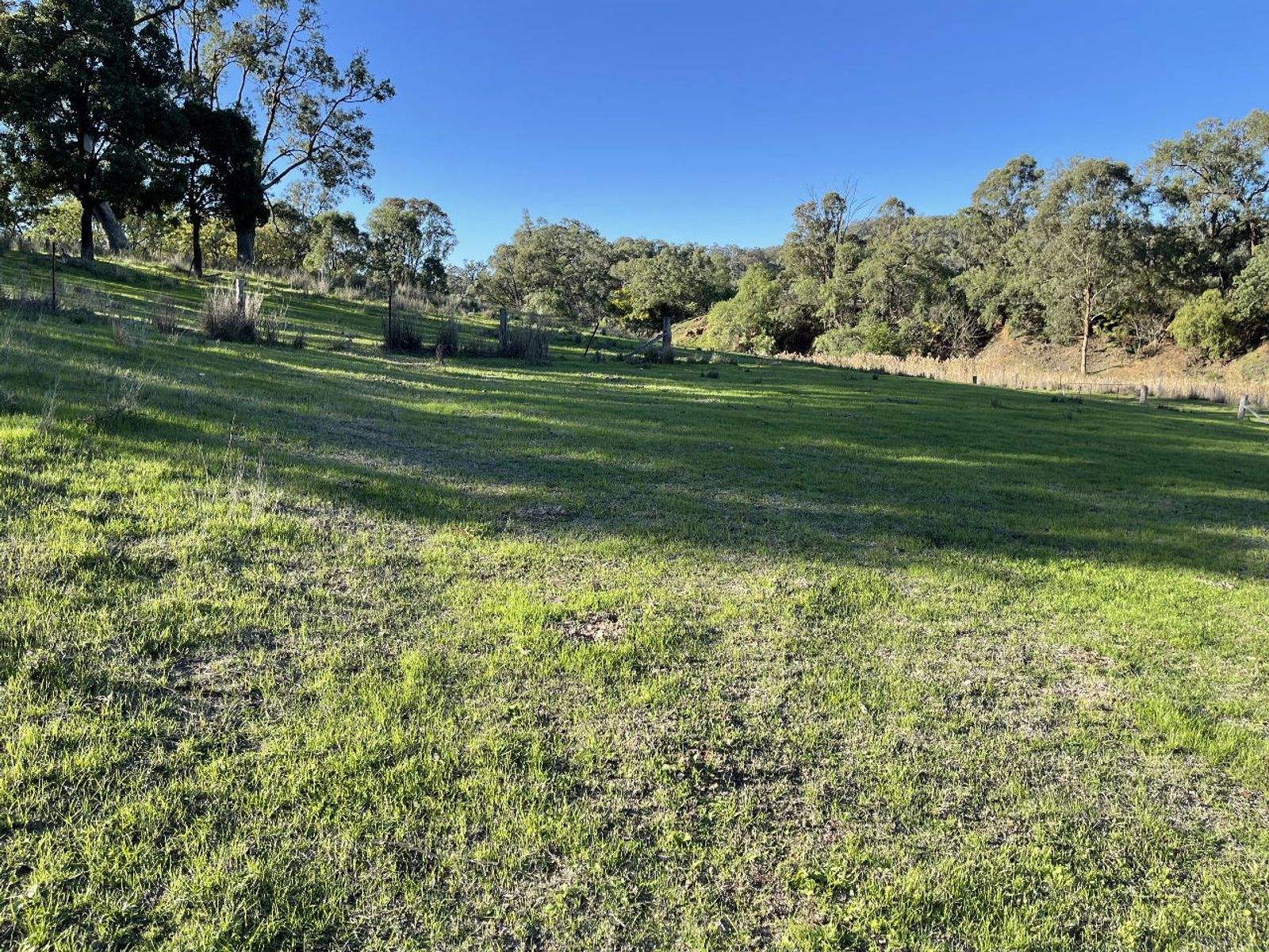 1235 Giants Creek Road, Sandy Hollow For Sale by Farmbuy.com - image 13
