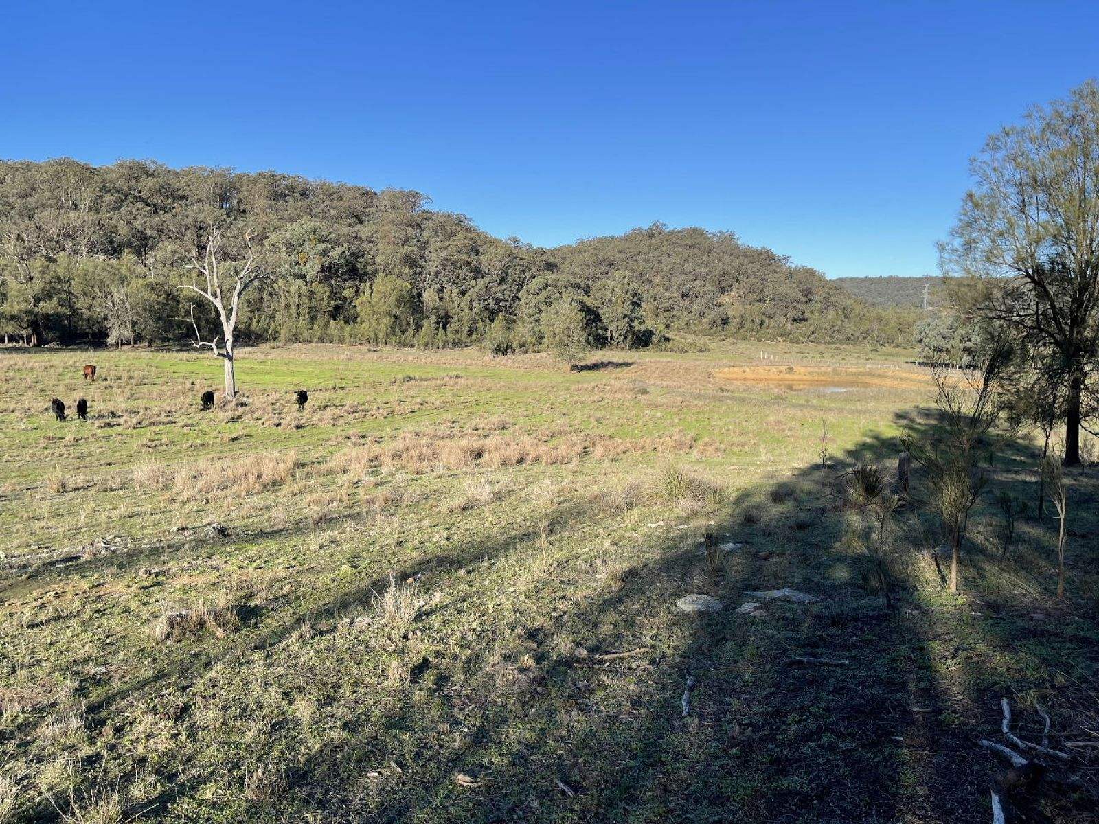 1235 Giants Creek Road, Sandy Hollow For Sale by Farmbuy.com - image 17