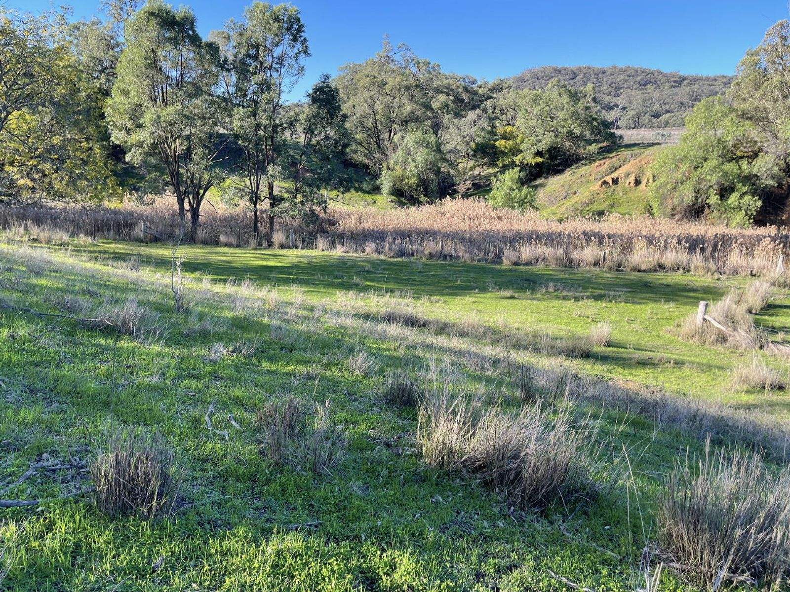 1235 Giants Creek Road, Sandy Hollow For Sale by Farmbuy.com - image 25
