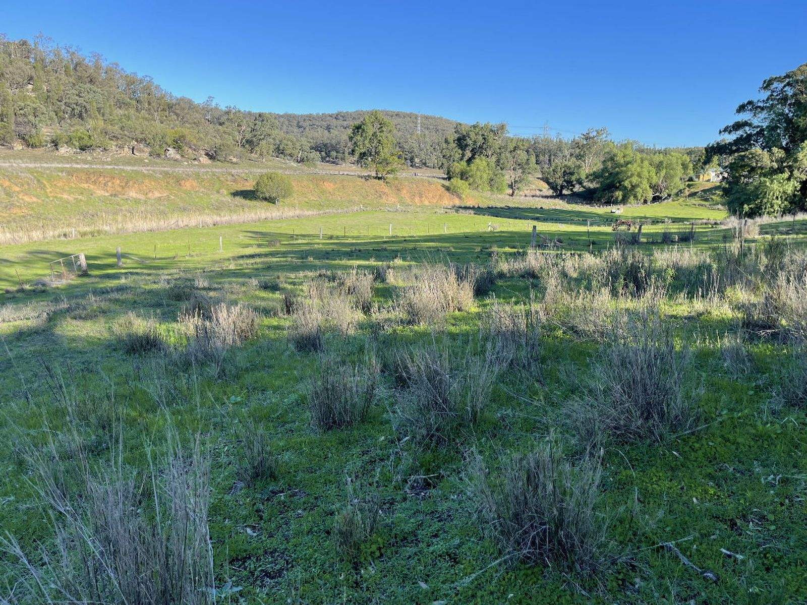 1235 Giants Creek Road, Sandy Hollow For Sale by Farmbuy.com - image 4