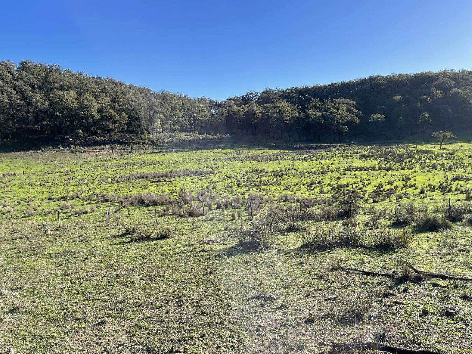 1235 Giants Creek Road, Sandy Hollow For Sale by Farmbuy.com - image 15