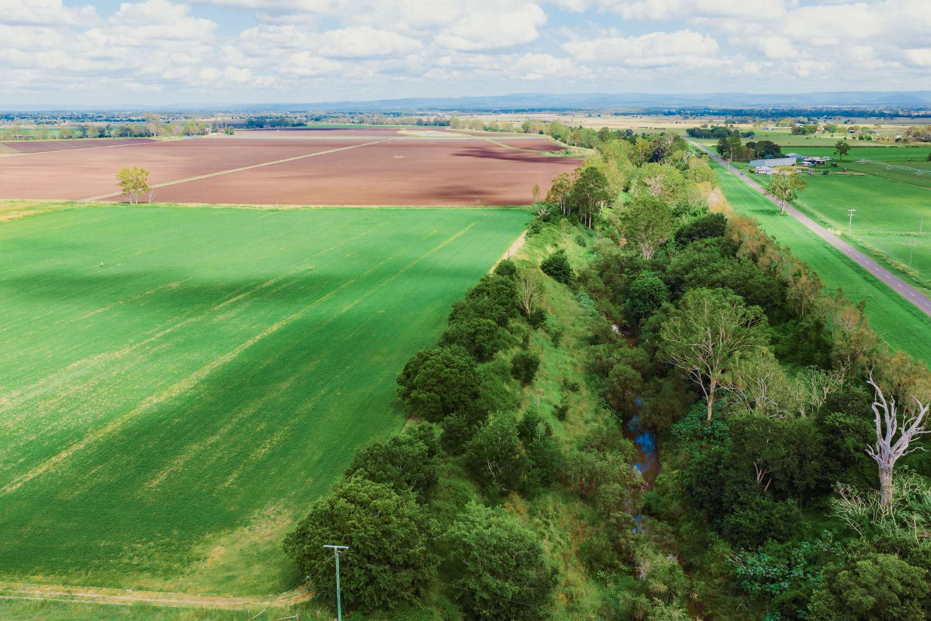 232 Rifle Range Road, Rifle Range For Sale by Farmbuy.com - image 29