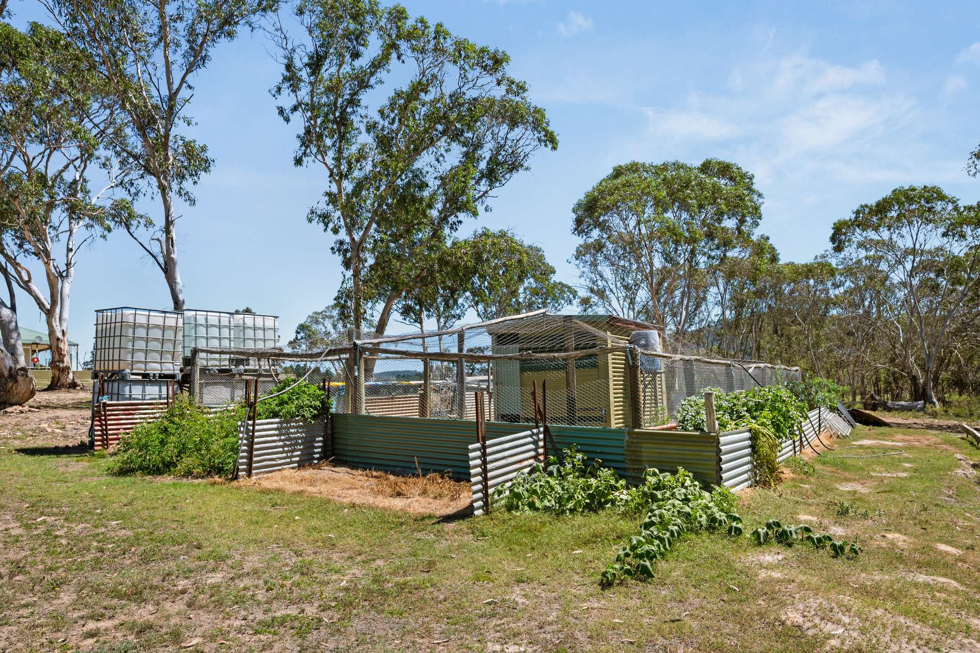 91 Griffins Road, Braidwood For Sale by Farmbuy.com - image 24