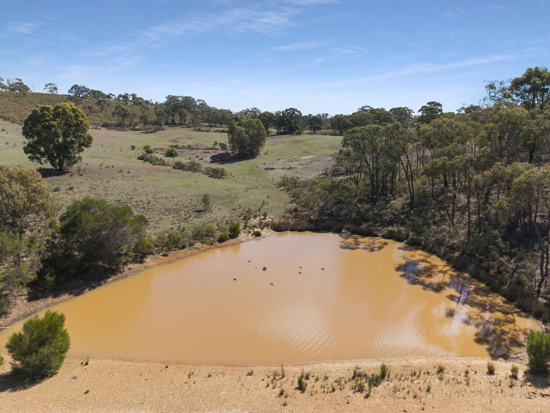 Lot 15 Commins Lane, Heathcote For Sale by Farmbuy.com - image 12
