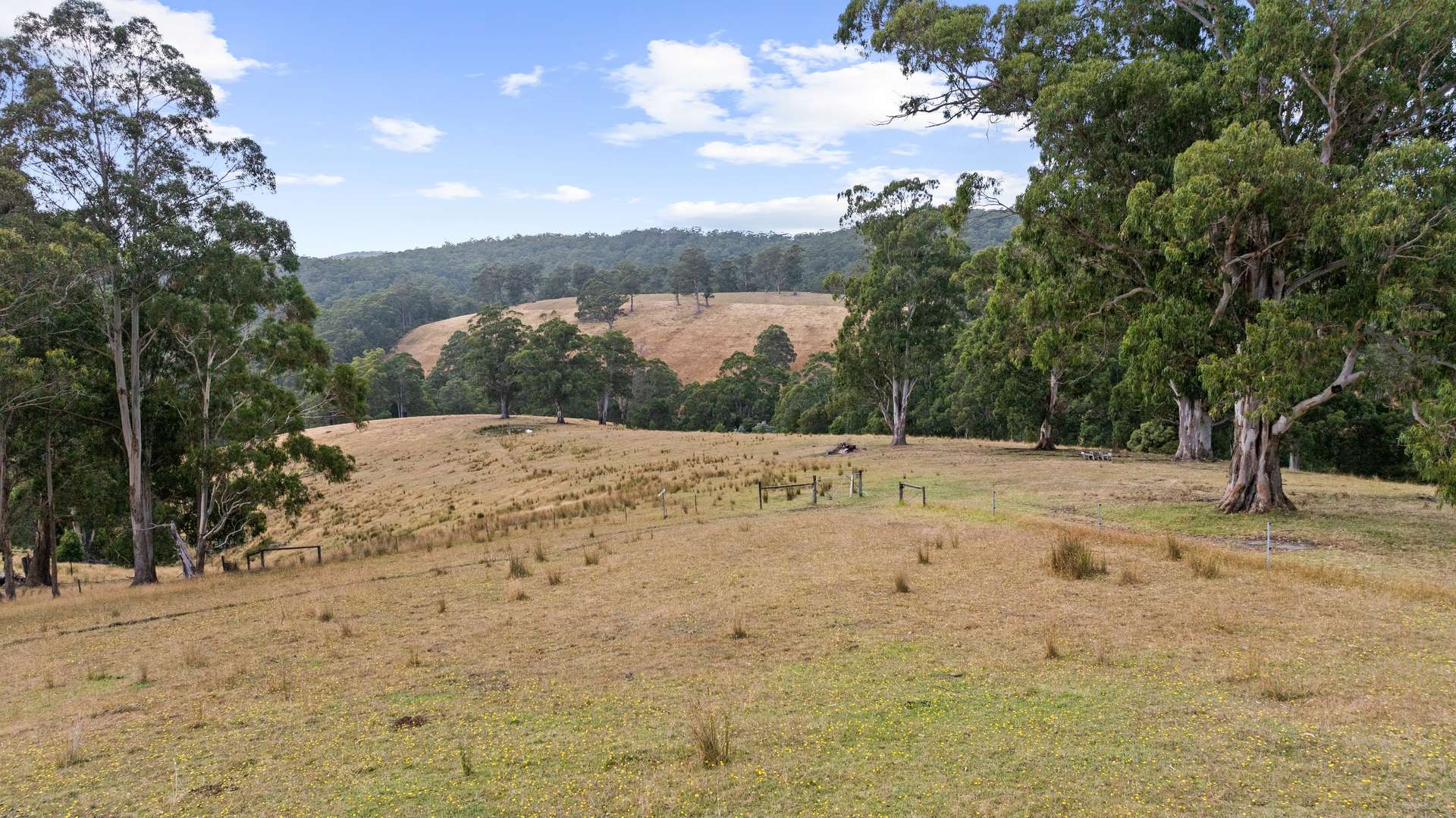 58 Martins Road, Willung South For Sale by Farmbuy.com - image 7