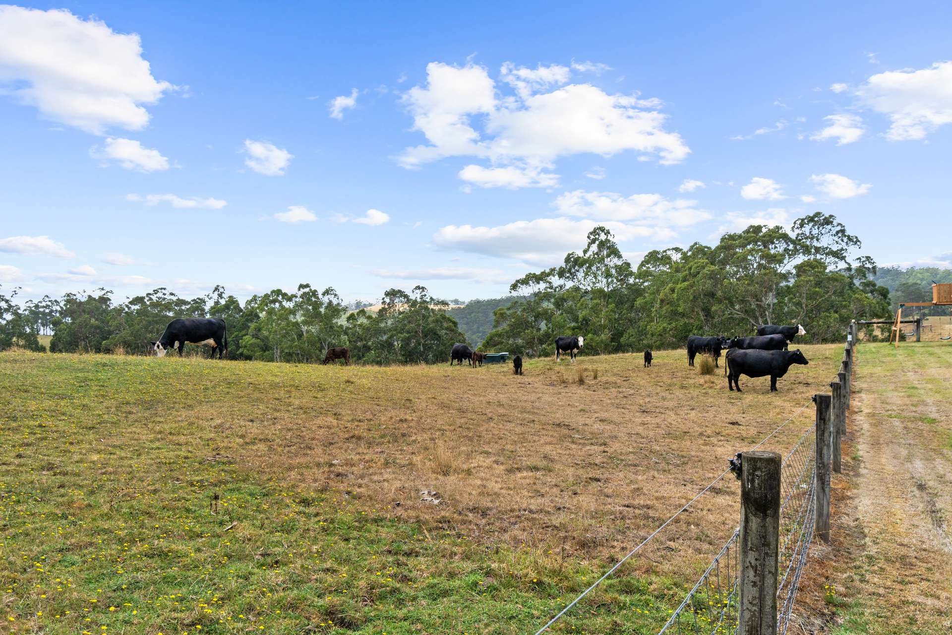 58 Martins Road, Willung South For Sale by Farmbuy.com - image 25