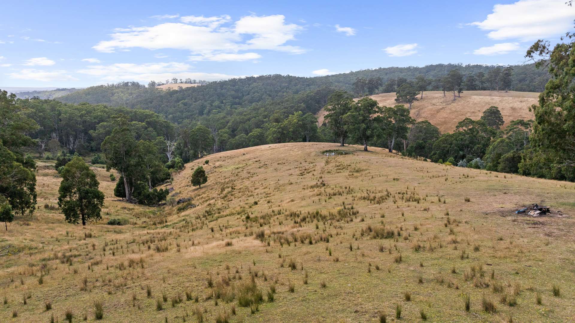 58 Martins Road, Willung South For Sale by Farmbuy.com - image 6