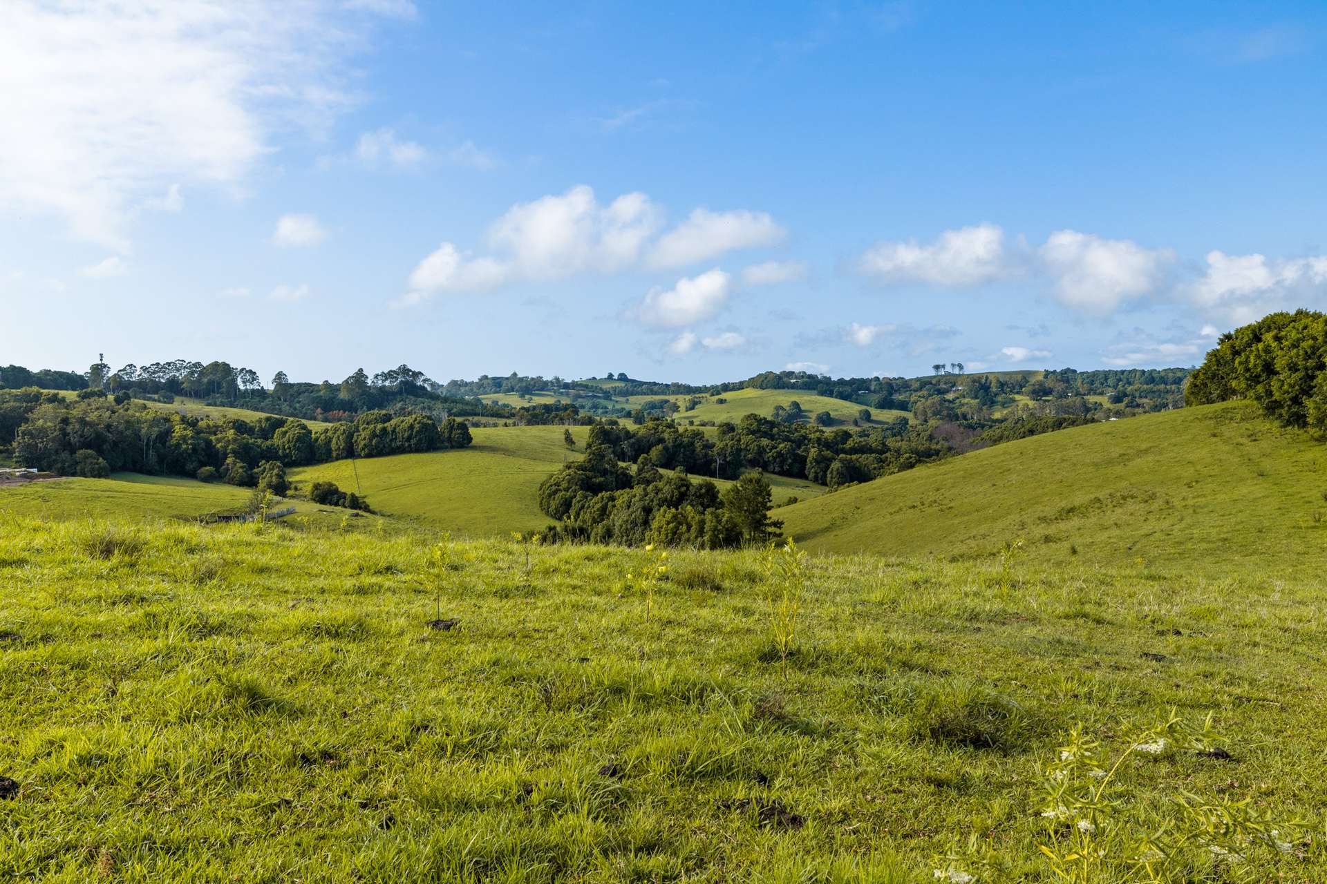 769 Fernleigh Road, Brooklet For Sale by Farmbuy.com - image 21