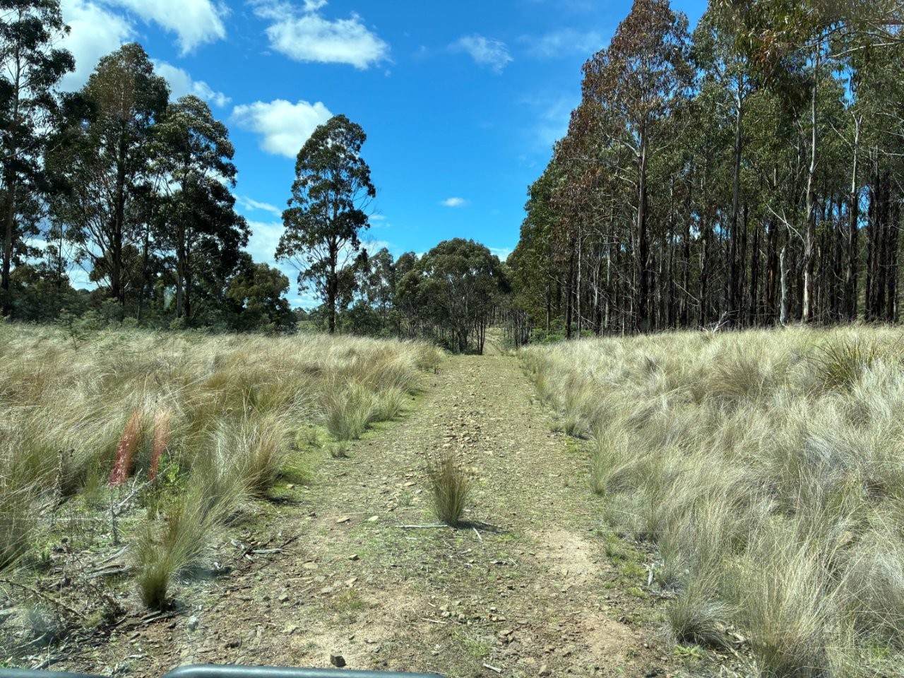 2413 Nugent Road, Buckland For Sale by Farmbuy.com - image 24
