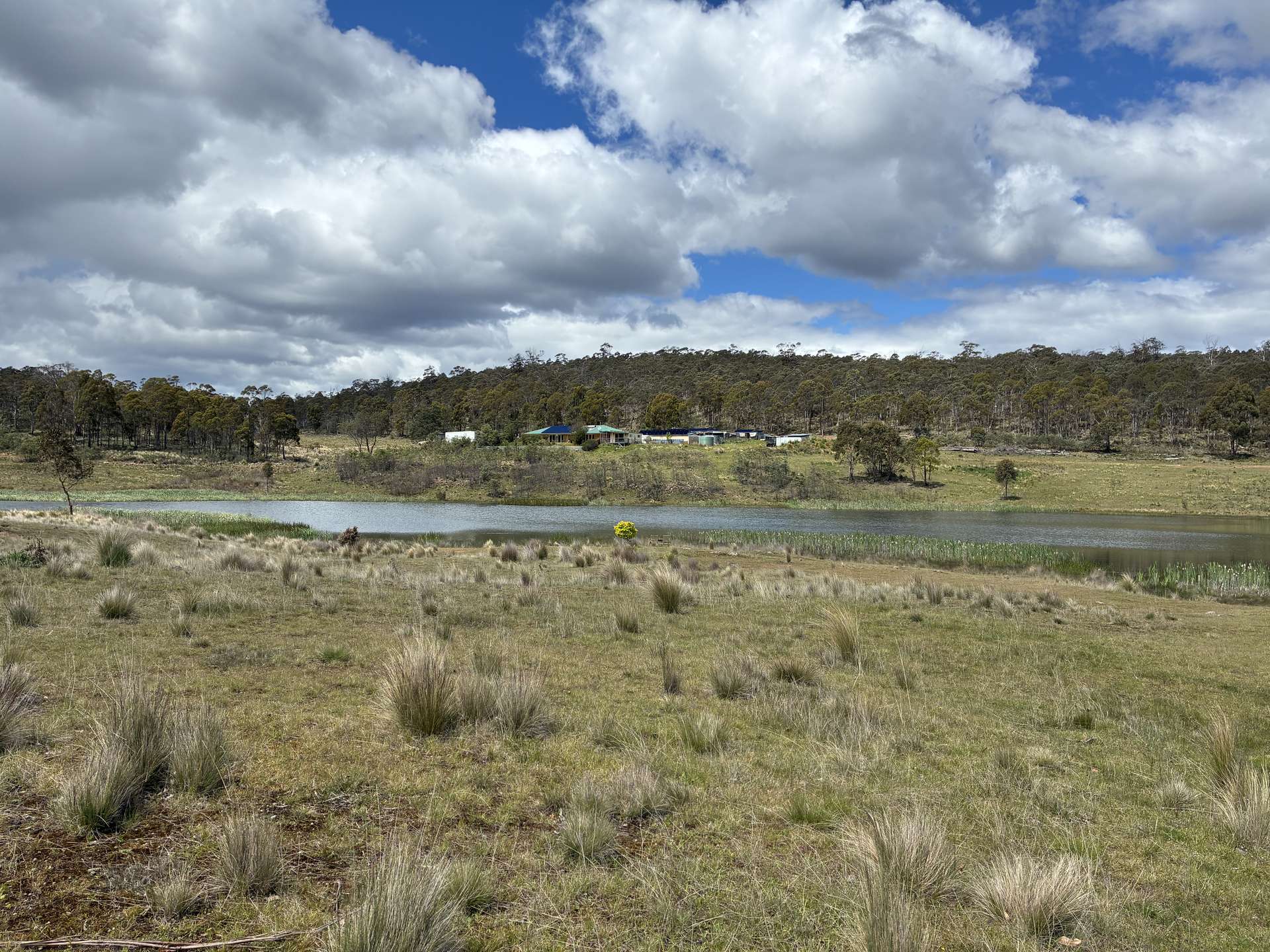 2413 Nugent Road, Buckland For Sale by Farmbuy.com - image 7