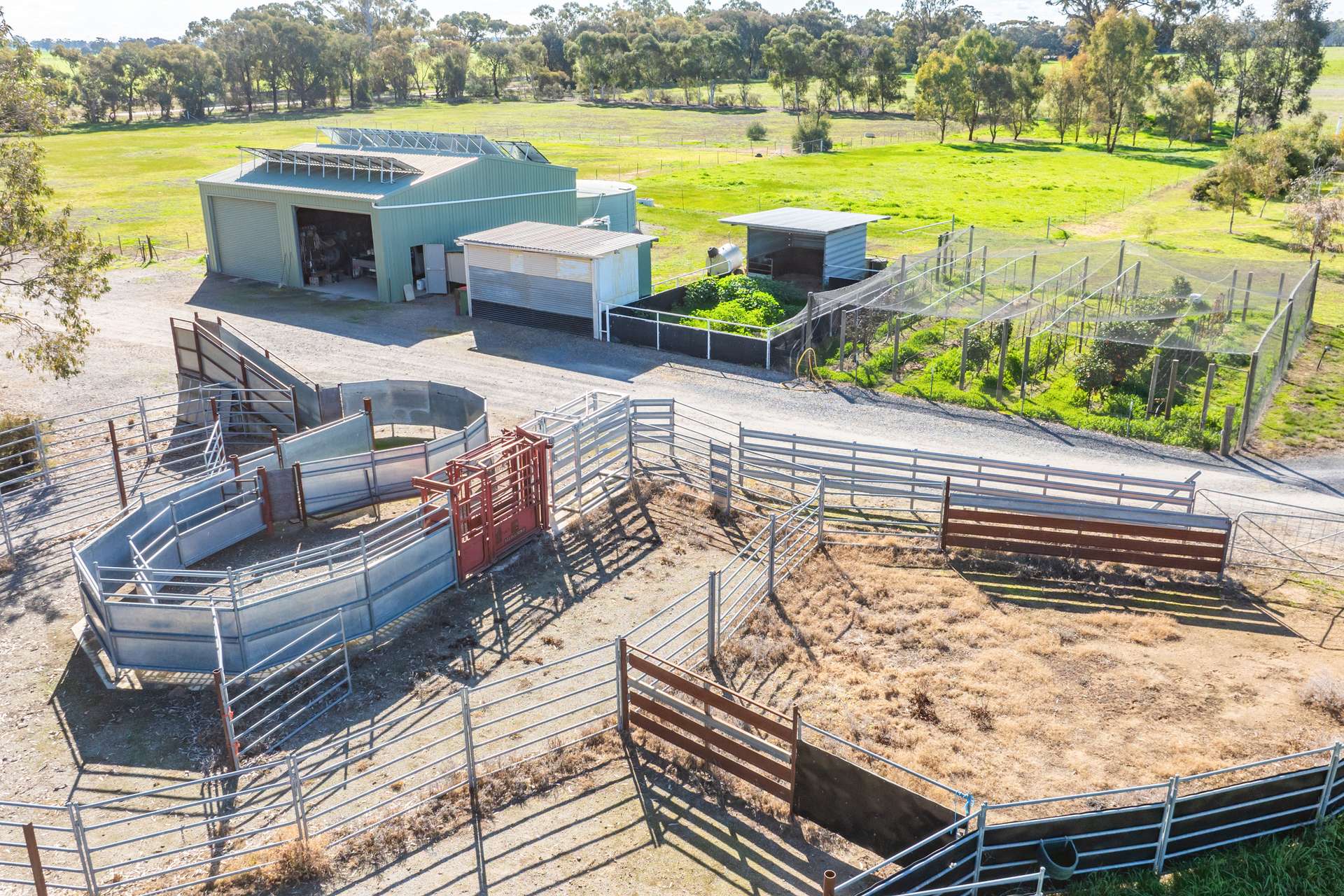 290 Savernake Road, Mulwala For Sale by Farmbuy.com - image 5