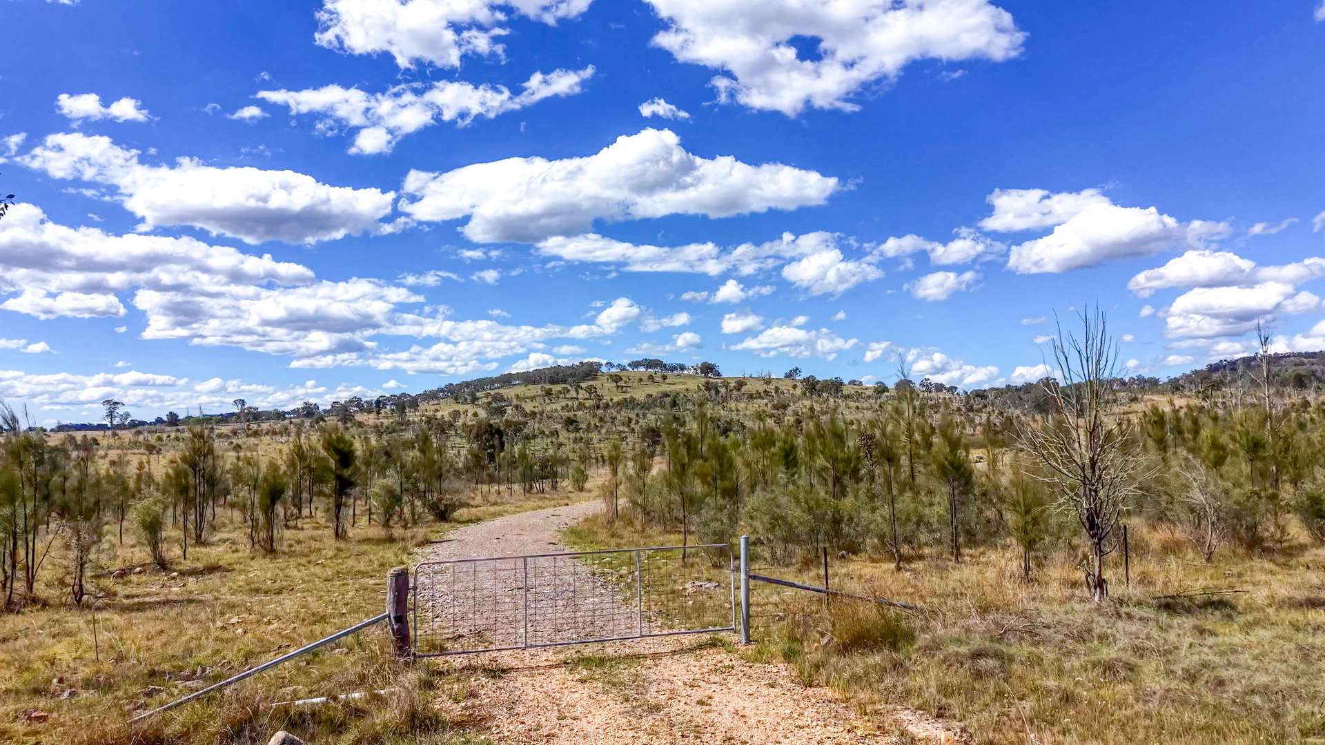 Lot 570 Tarban Road, Tenterfield Sold by Farmbuy.com - image 2