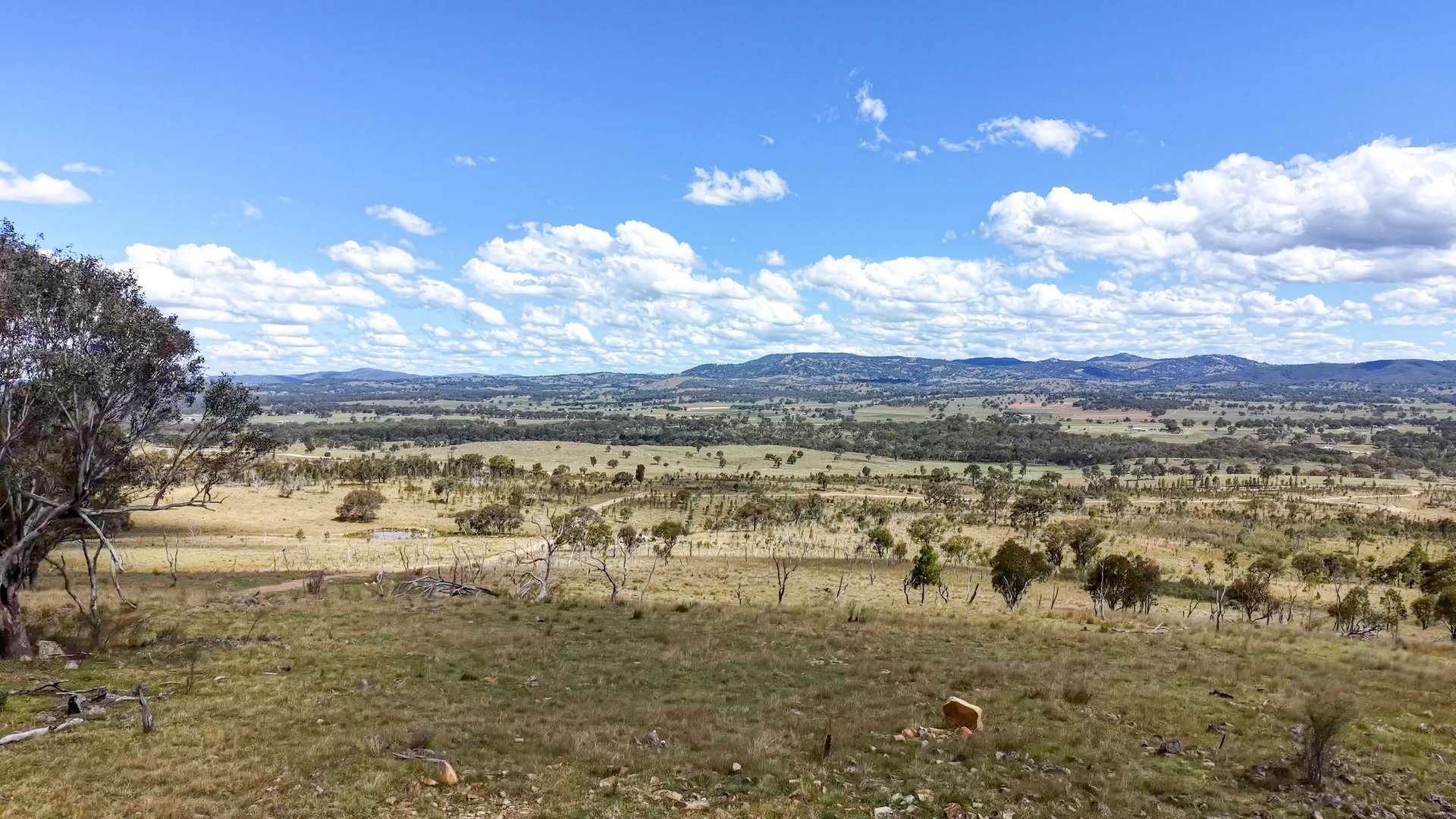 Lot 570 Tarban Road, Tenterfield Sold by Farmbuy.com - image 22