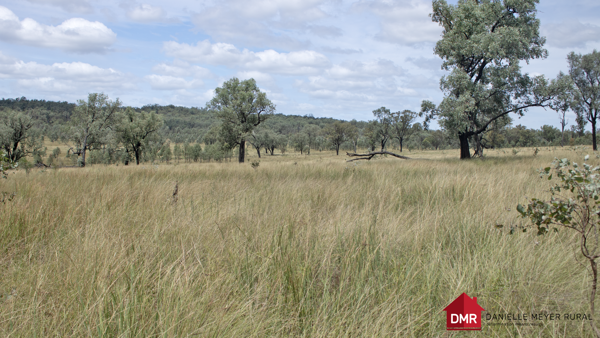 336 James Road, Brovinia For Sale by Farmbuy.com - image 30