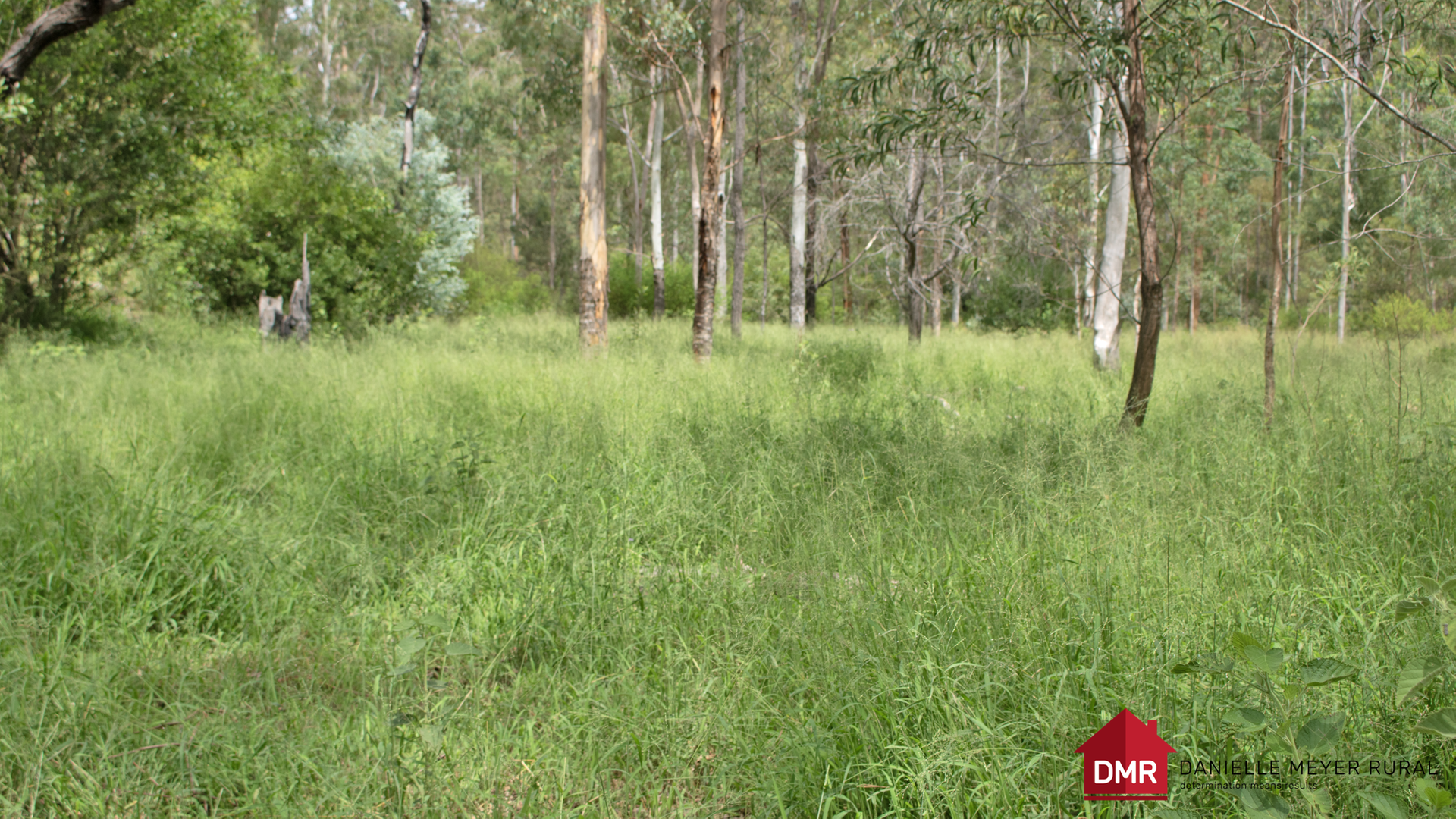 336 James Road, Brovinia For Sale by Farmbuy.com - image 5