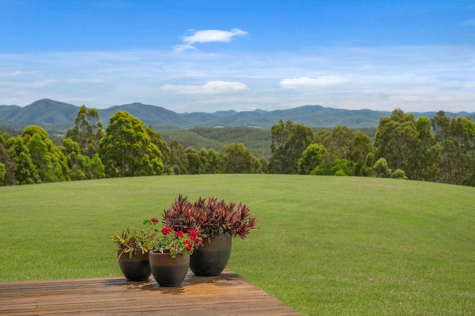 Ballengarra For Sale by Farmbuy.com - image 6