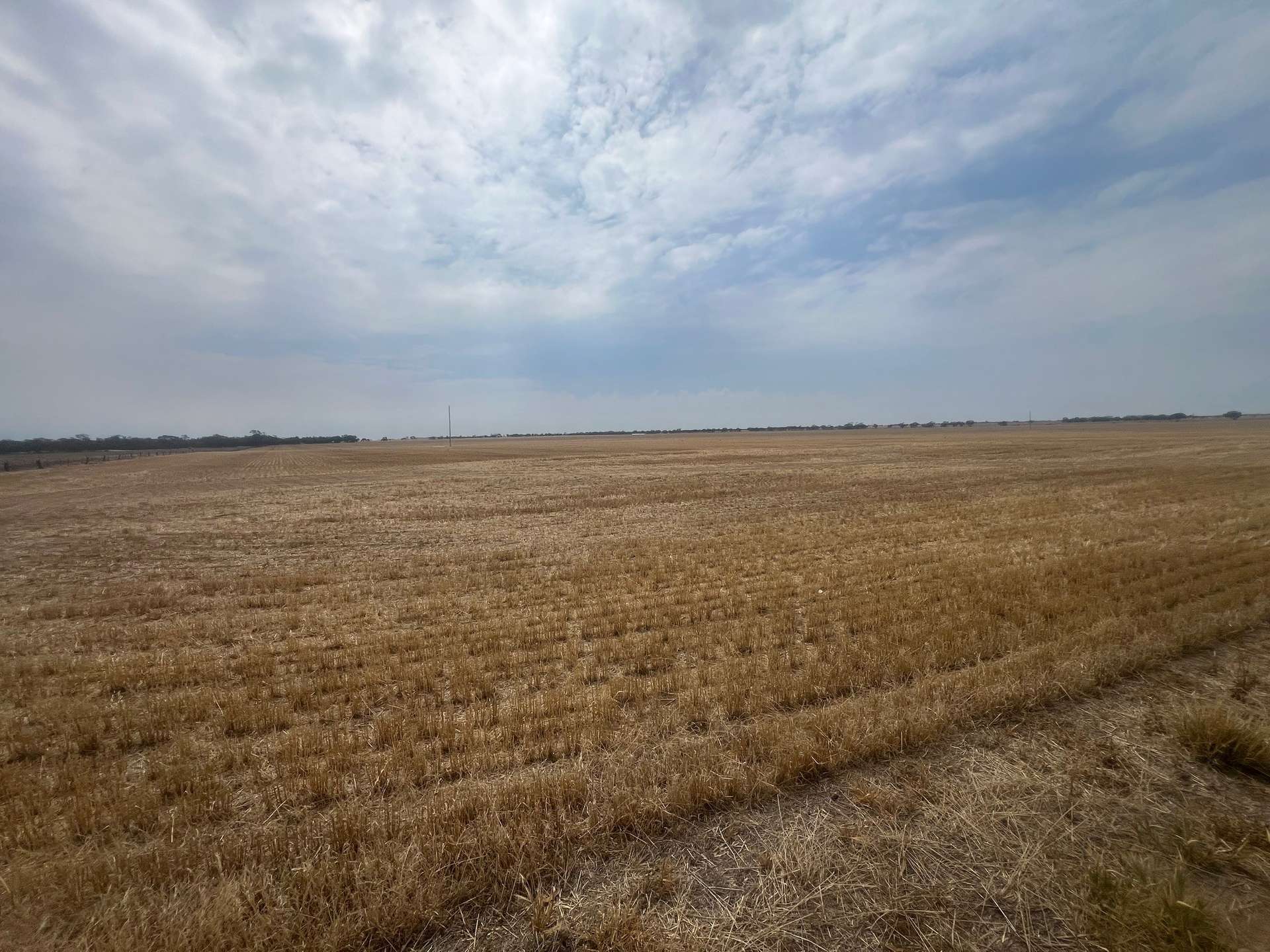 Aubrey Road Cannum, Cannum For Sale by Farmbuy.com - image 9