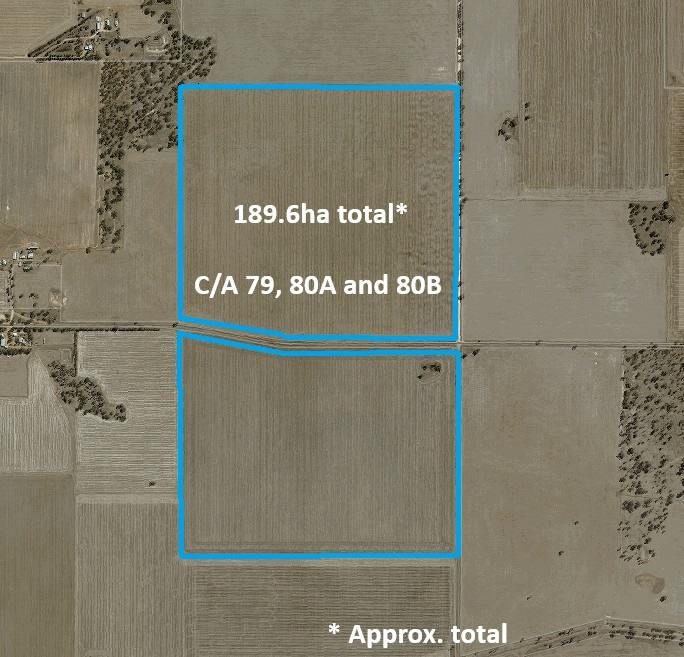 Aubrey Road Cannum, Cannum For Sale by Farmbuy.com - image 4