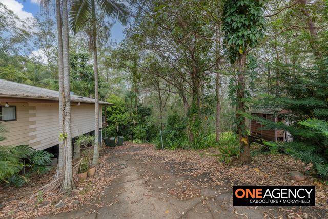 5 Campbells Pocket Road, Wamuran Sold by Farmbuy.com - image 3