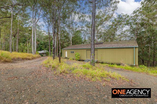 5 Campbells Pocket Road, Wamuran Sold by Farmbuy.com - image 2