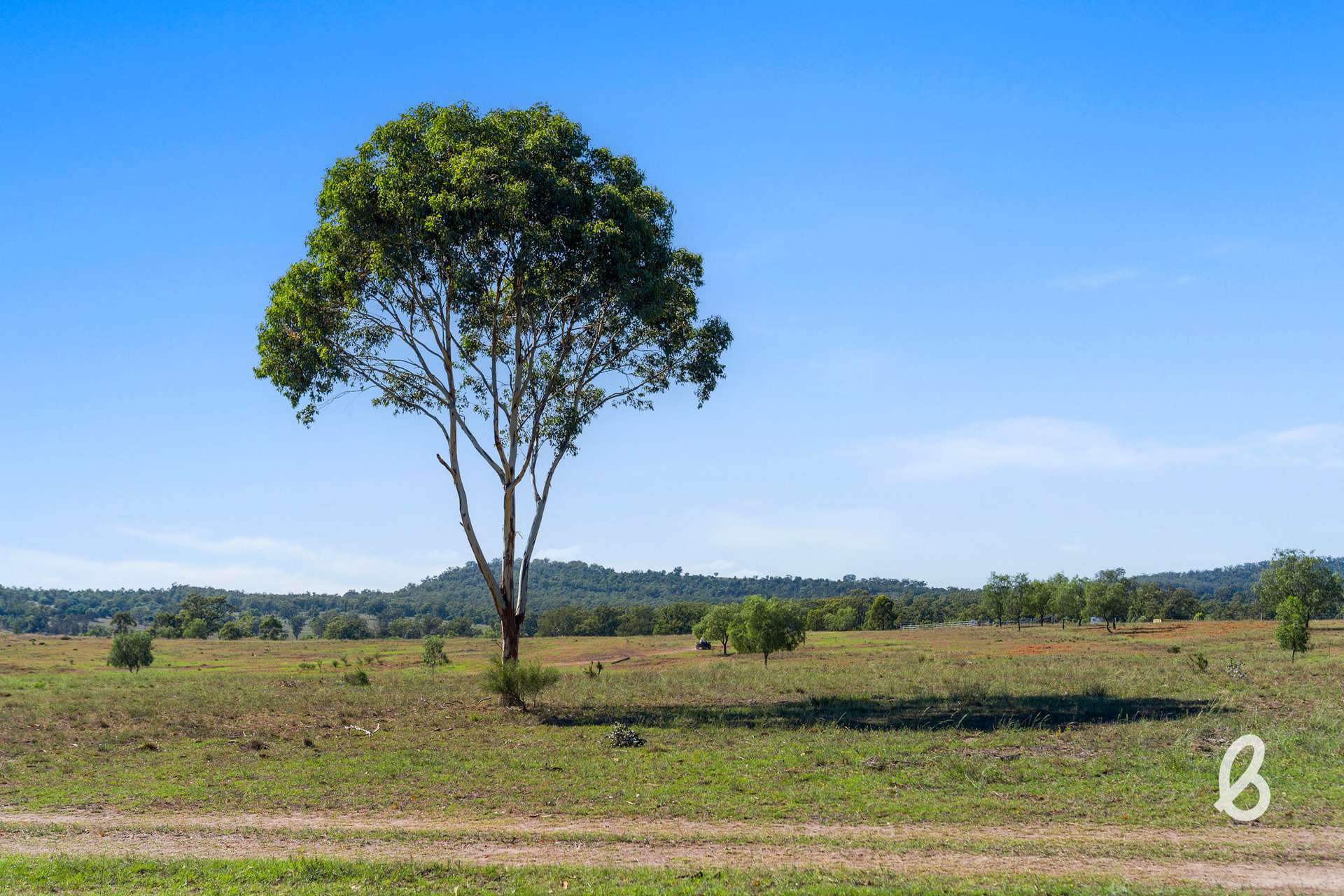 Lot 12 Redmanvale Road, Jerrys Plains For Sale by Farmbuy.com - image 35