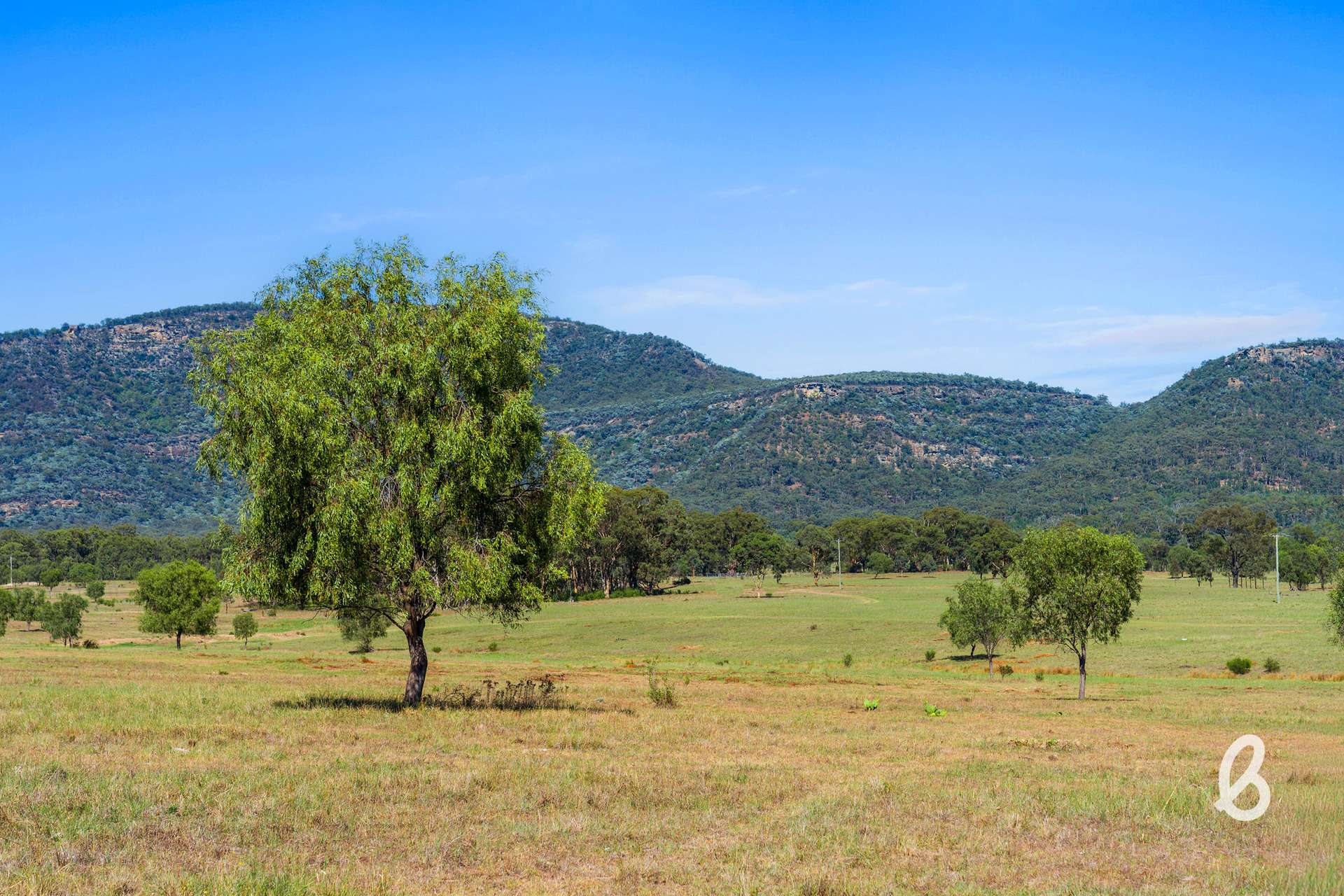 Lot 12 Redmanvale Road, Jerrys Plains For Sale by Farmbuy.com - image 9