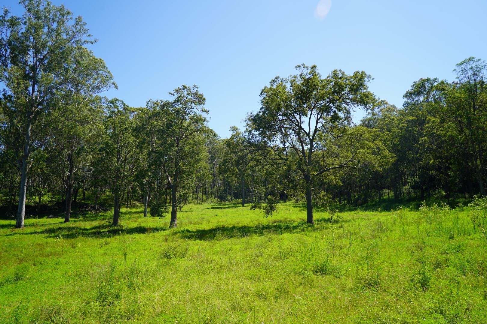 113 Bruxner Highway, Casino For Sale by Farmbuy.com - image 4