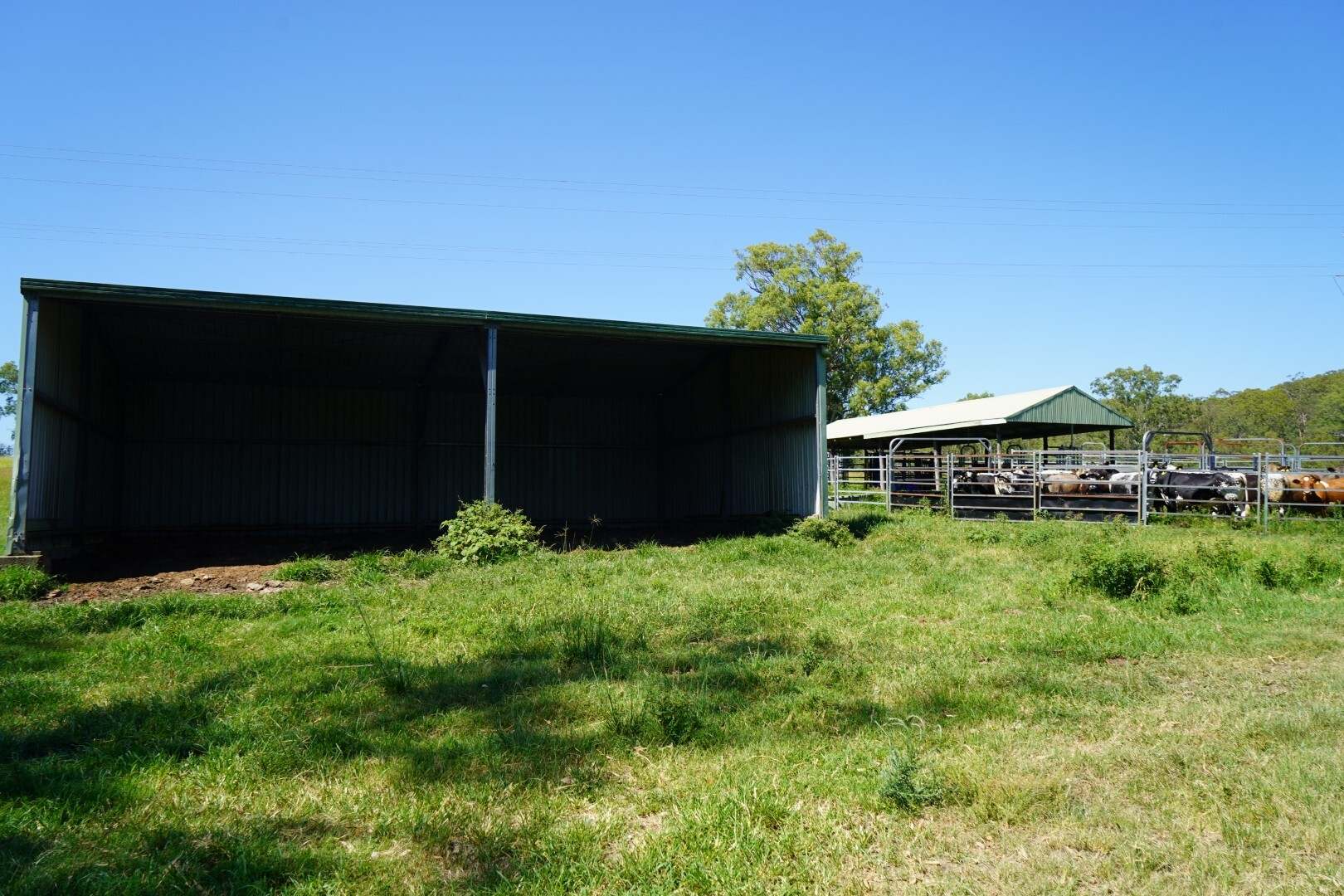 113 Bruxner Highway, Casino For Sale by Farmbuy.com - image 19