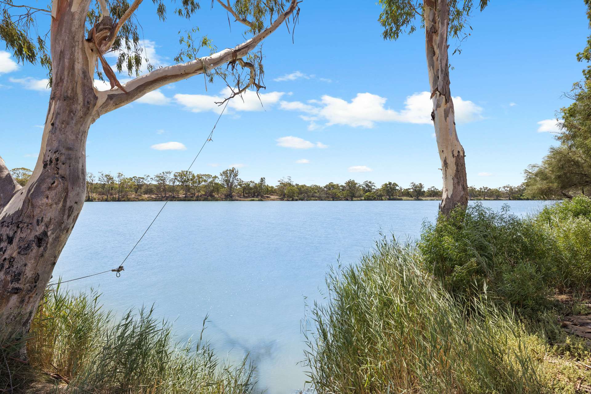 33 Reisling Road, Nildottie For Sale by Farmbuy.com - image 5