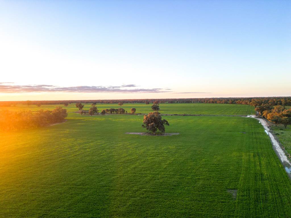 391 Boxdale Road, Deniliquin NSW 2710