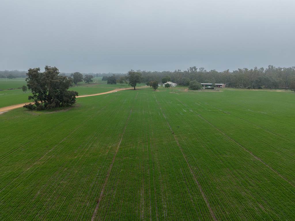 391 Boxdale Road, Deniliquin NSW 2710