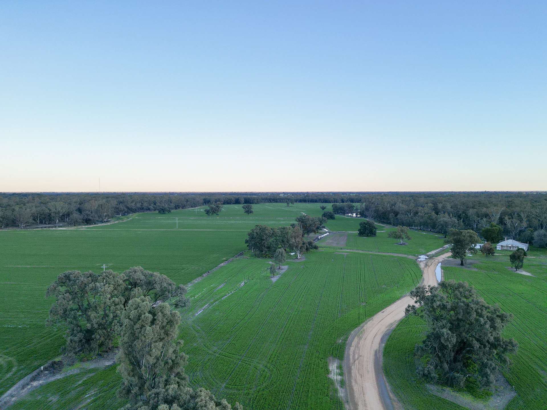 391 Boxdale Road, Deniliquin For Sale by Farmbuy.com - image 3
