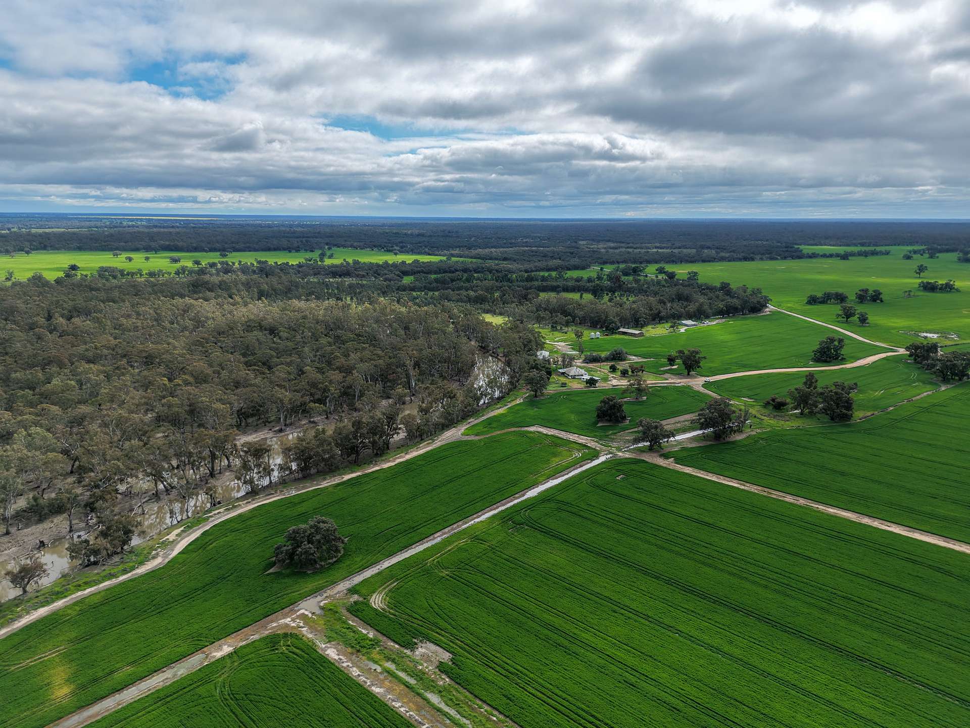 391 Boxdale Road, Deniliquin For Sale by Farmbuy.com - image 8