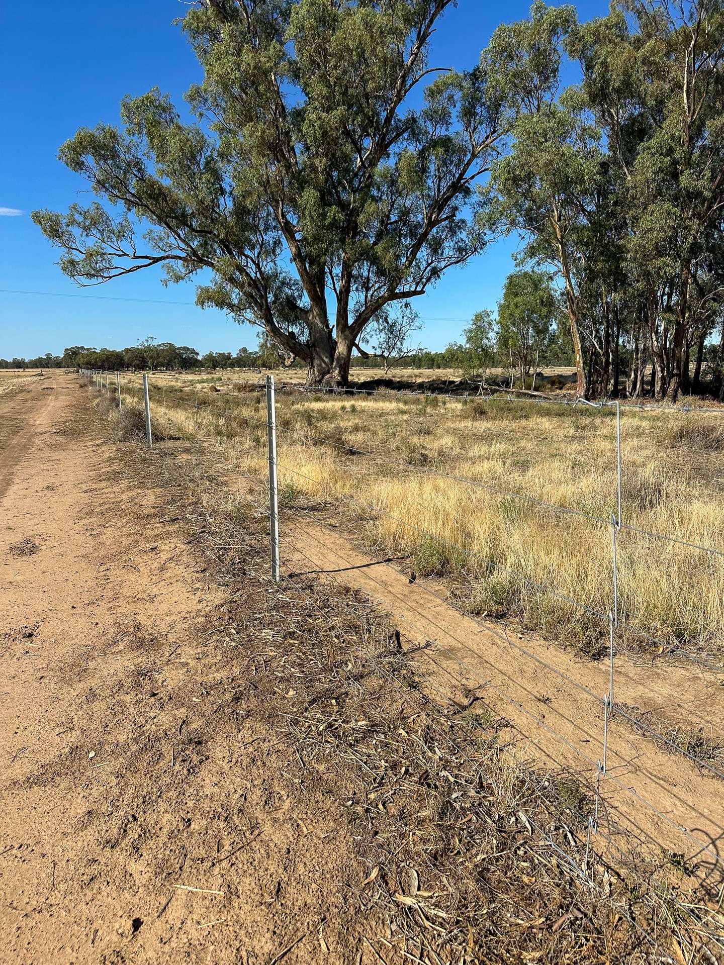 391 Boxdale Road, Deniliquin For Sale by Farmbuy.com - image 14