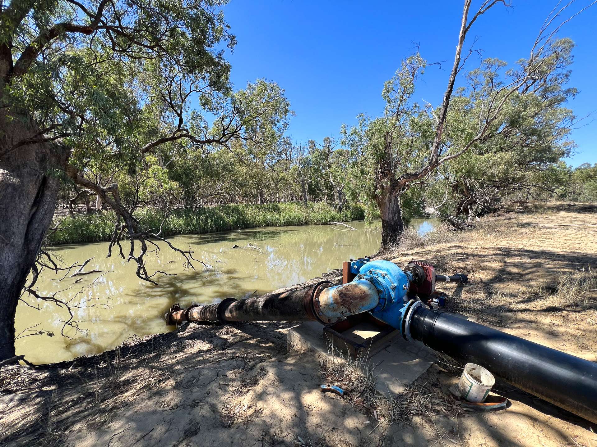 391 Boxdale Road, Deniliquin For Sale by Farmbuy.com - image 12
