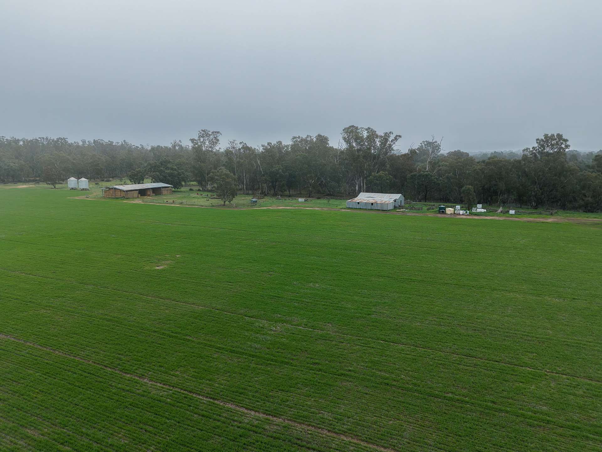 391 Boxdale Road, Deniliquin For Sale by Farmbuy.com - image 15