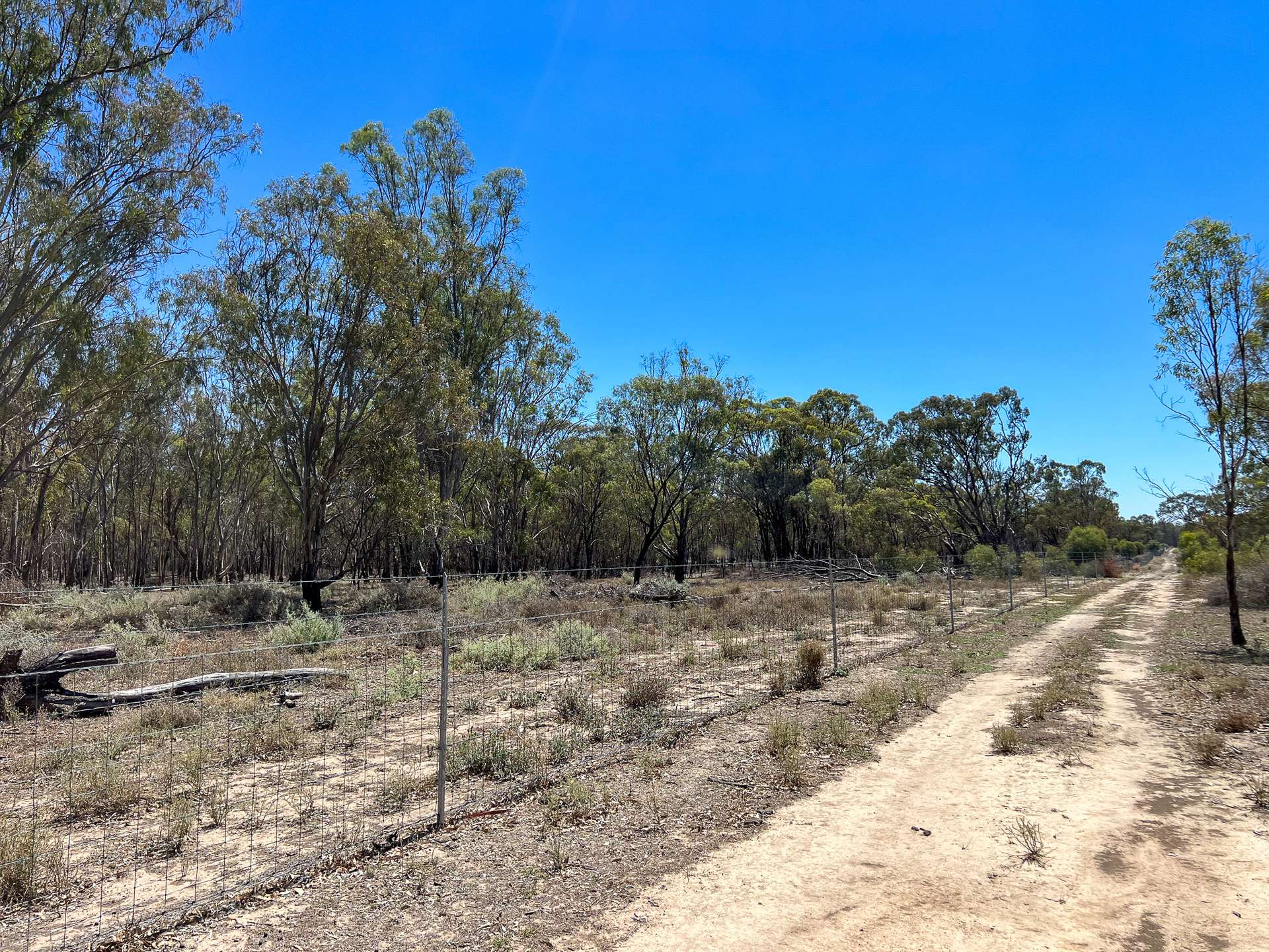391 Boxdale Road, Deniliquin For Sale by Farmbuy.com - image 15