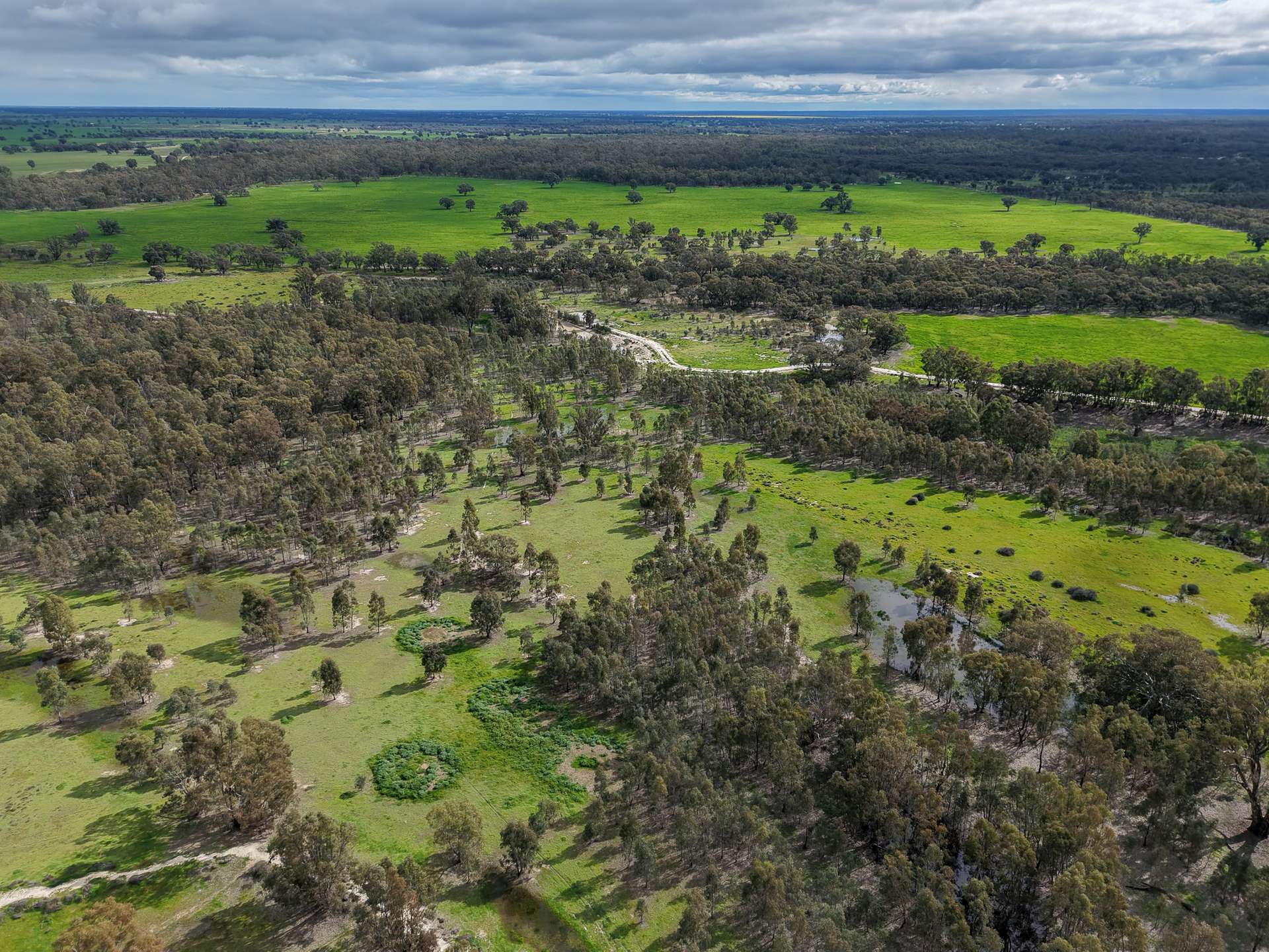 391 Boxdale Road, Deniliquin For Sale by Farmbuy.com - image 9