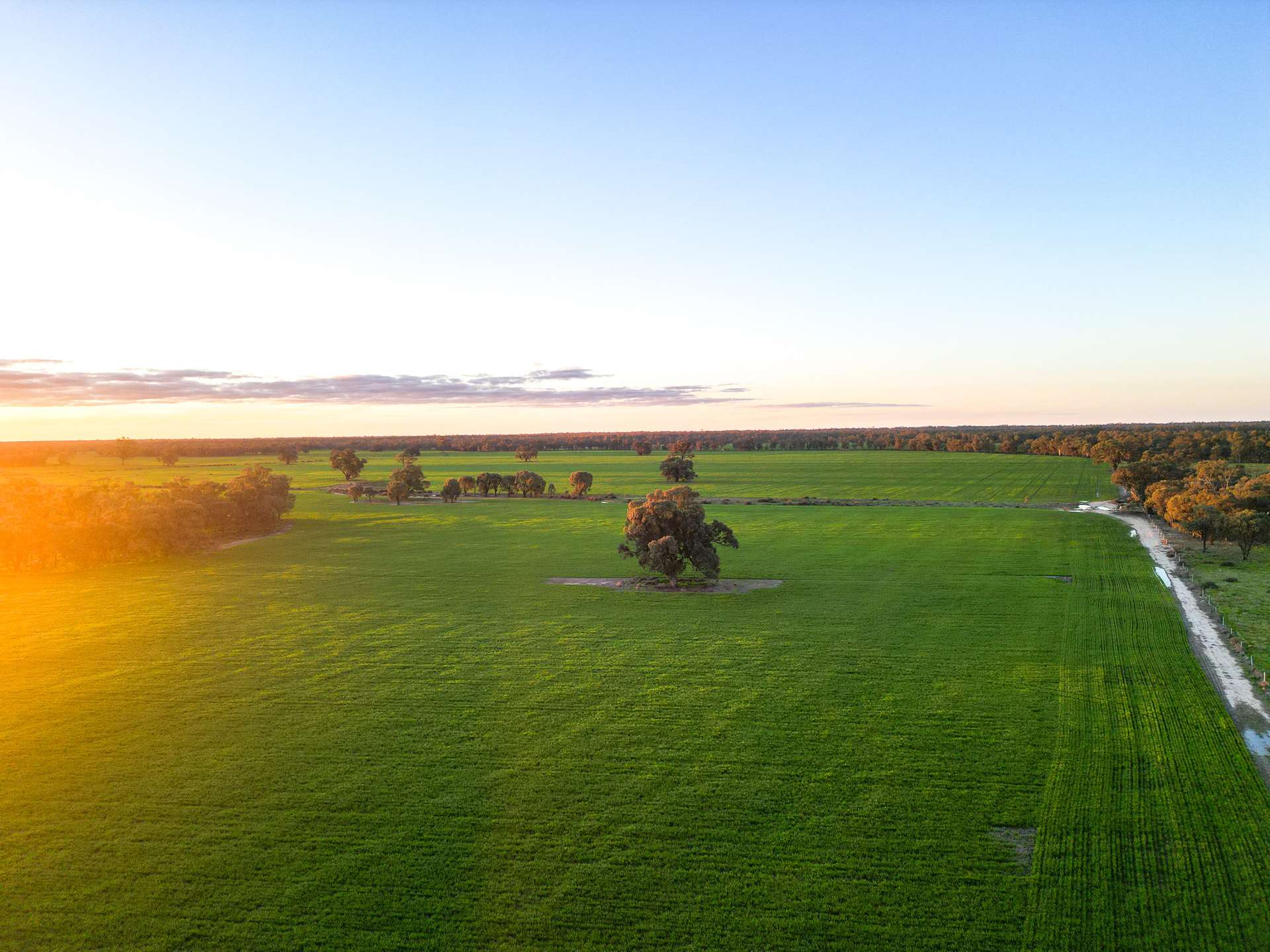 391 Boxdale Road, Deniliquin For Sale by Farmbuy.com - image 1